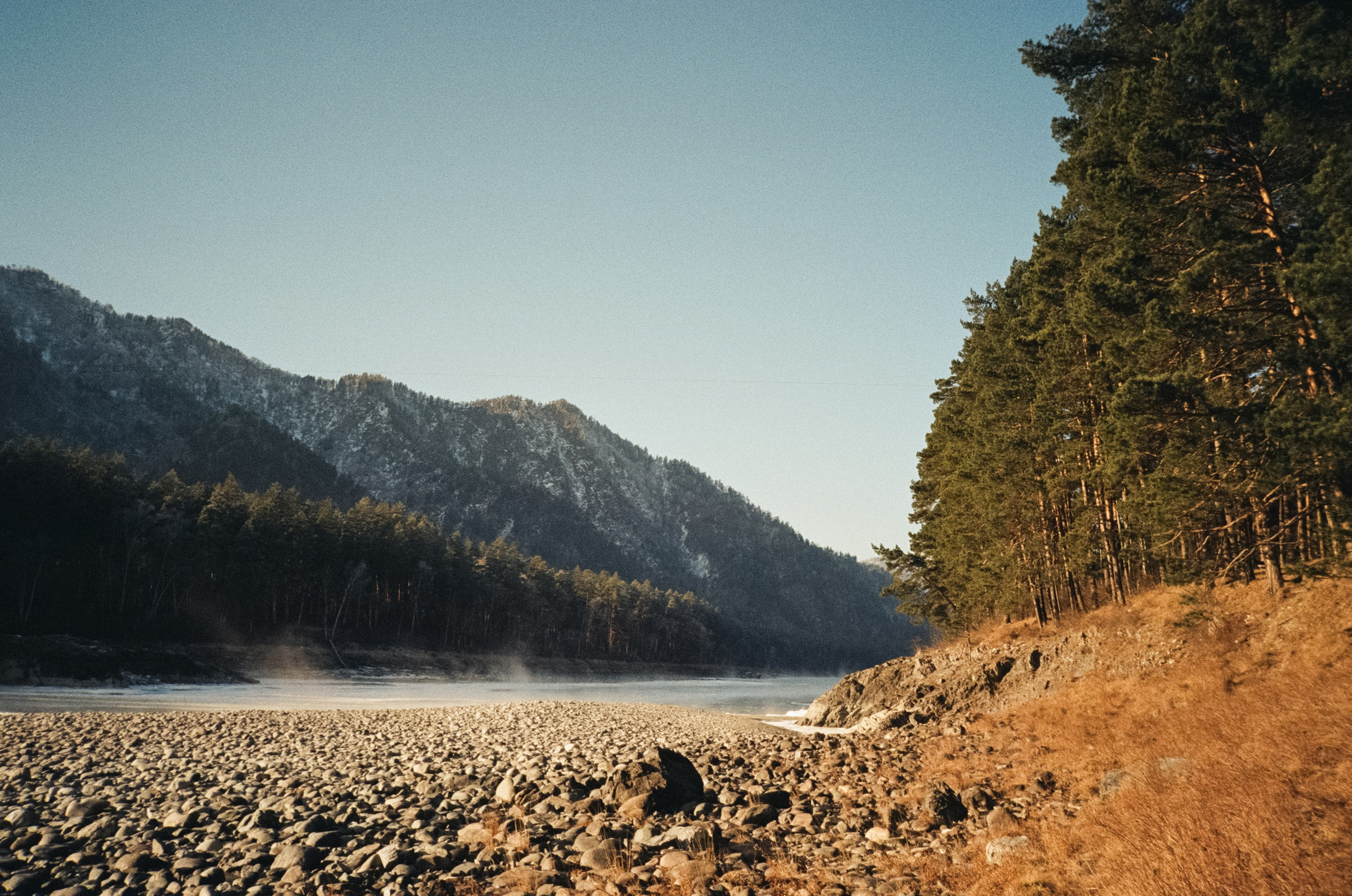 Чемальский тракт, Семинская поляна и кафе-автобус Coffee Bus. Фотограф-документалист Мария Осокина