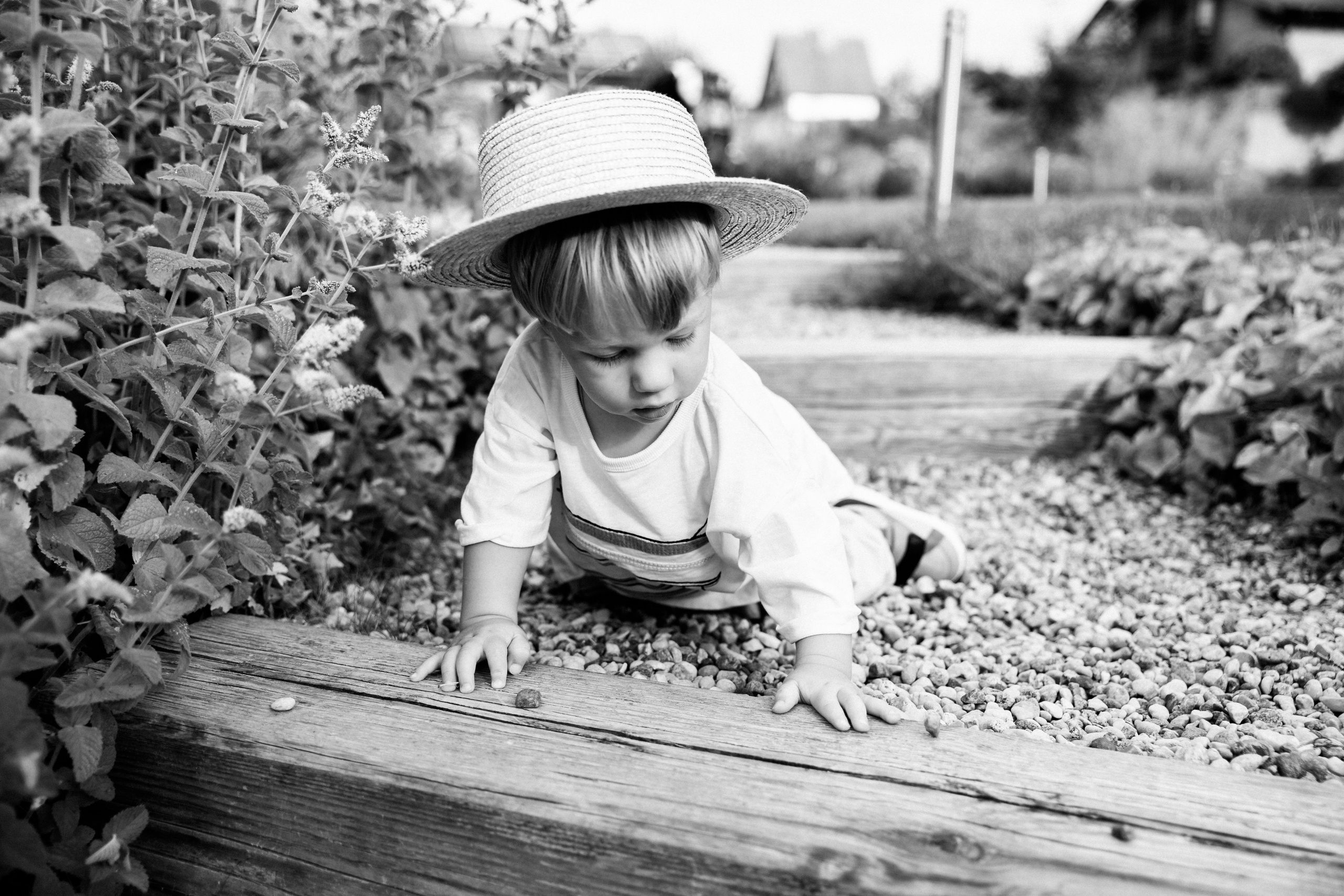 Семейный фотограф Александр Кожарский