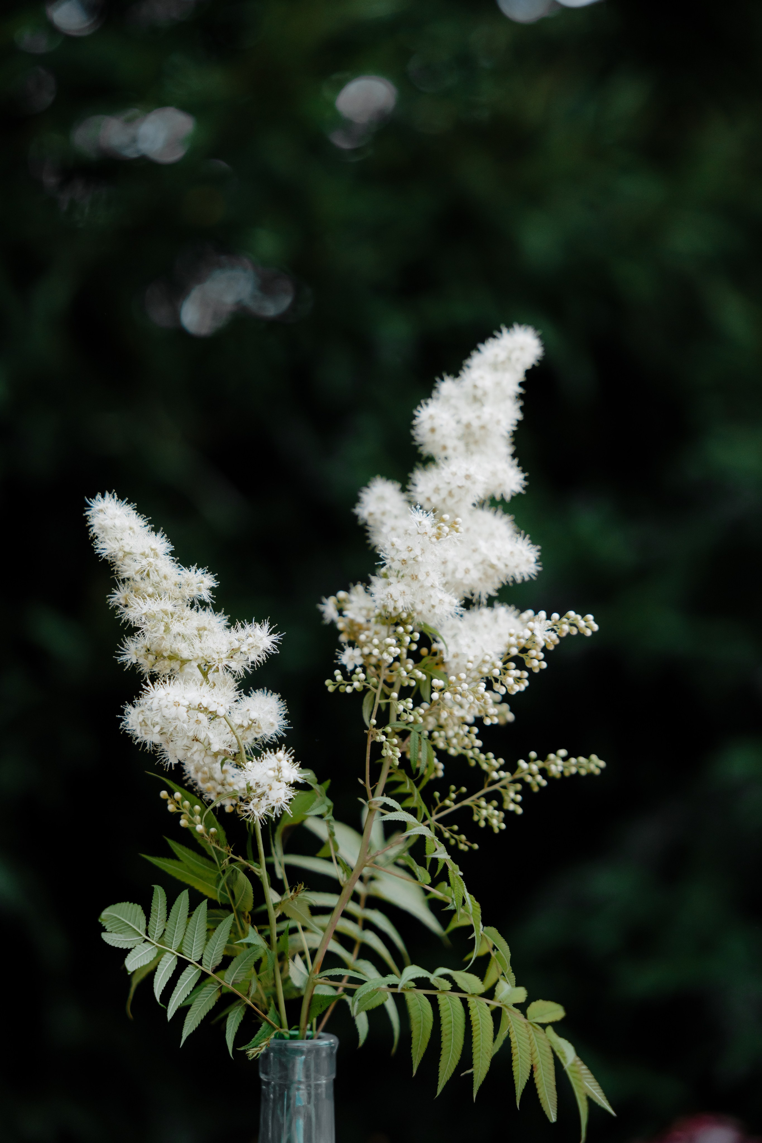 Gender Party. Свадебный фотограф Владислав Адышкин