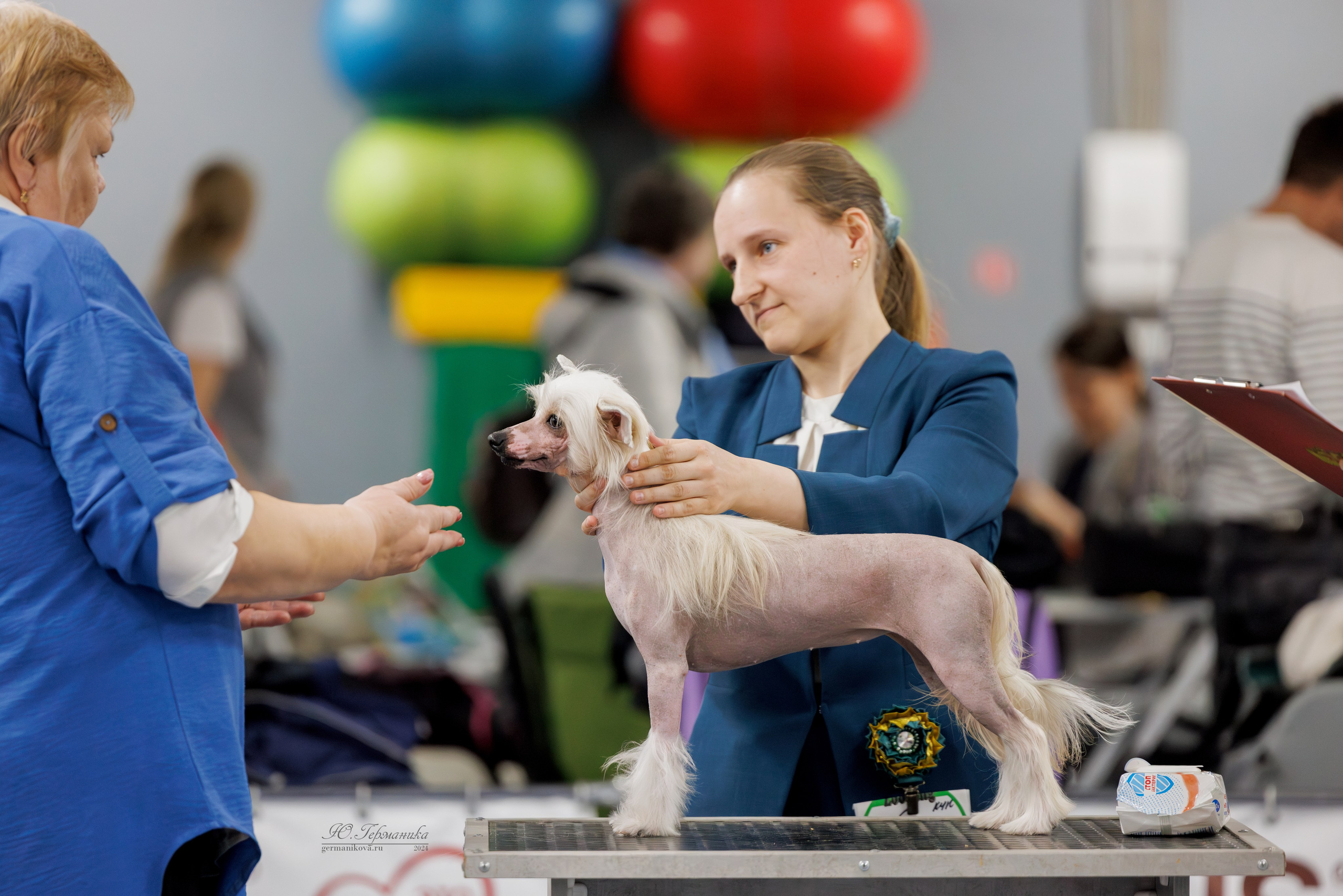 Сфера и Крокус 8,9,16 и 30.03.2025. Фотограф-анималист Юлия Германика