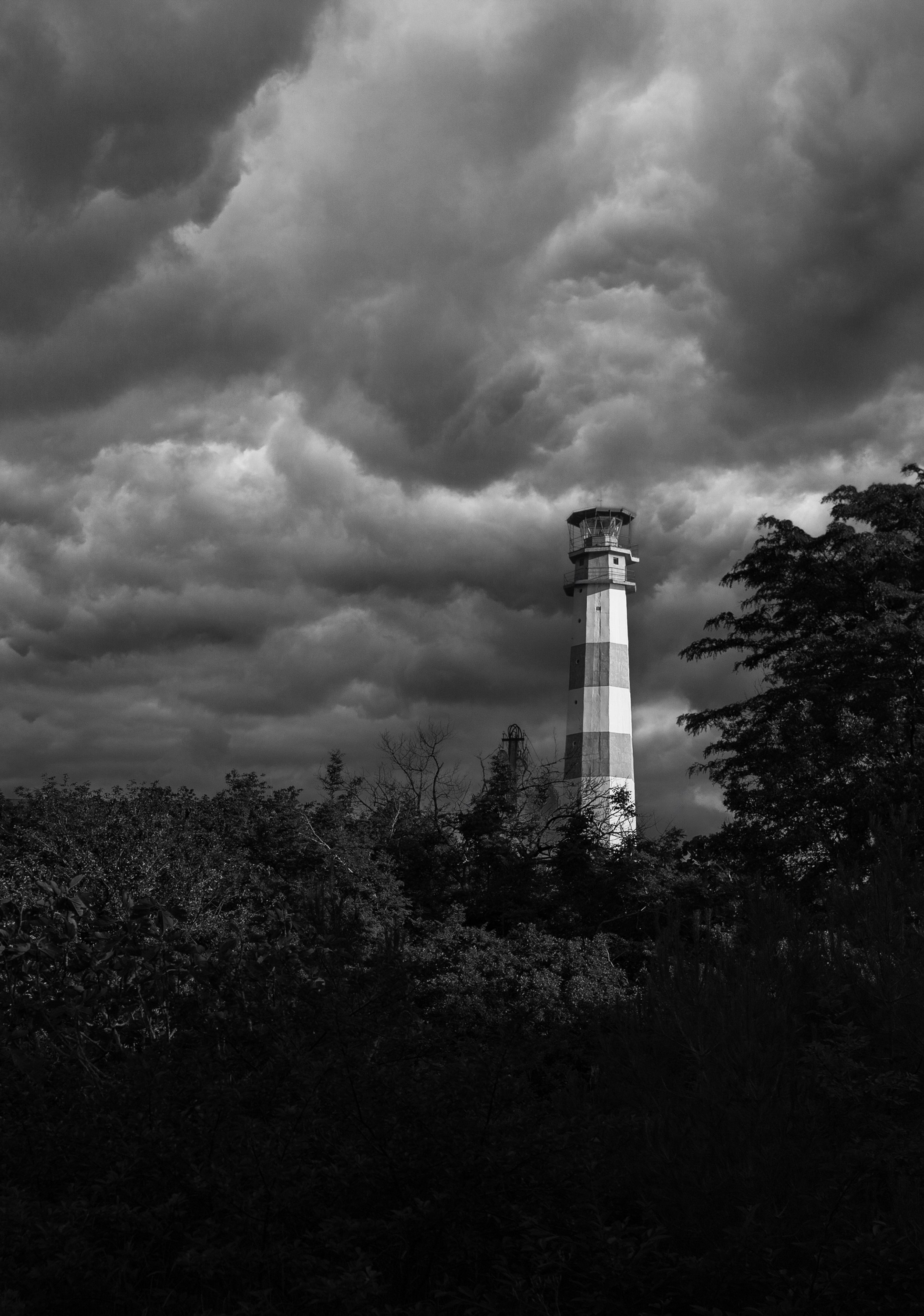 Арт-фото. Михаил Данилов | Фотограф