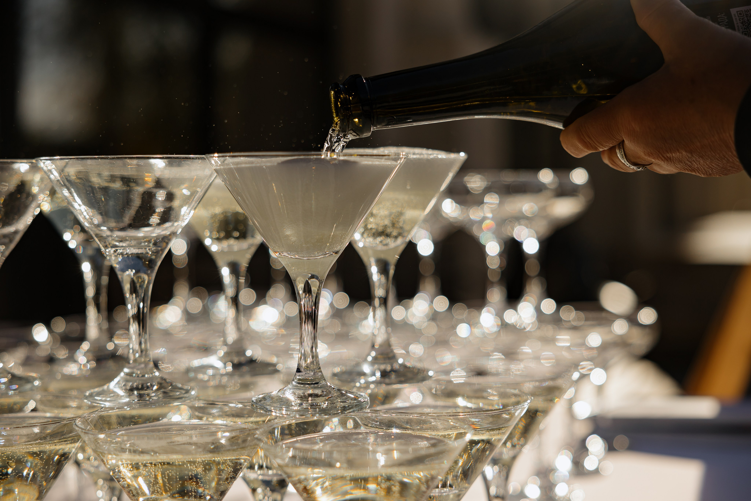 Свадебная вечеринка Евгении и Бориса. Фотограф Сергей Ртищев в Москве и РФ