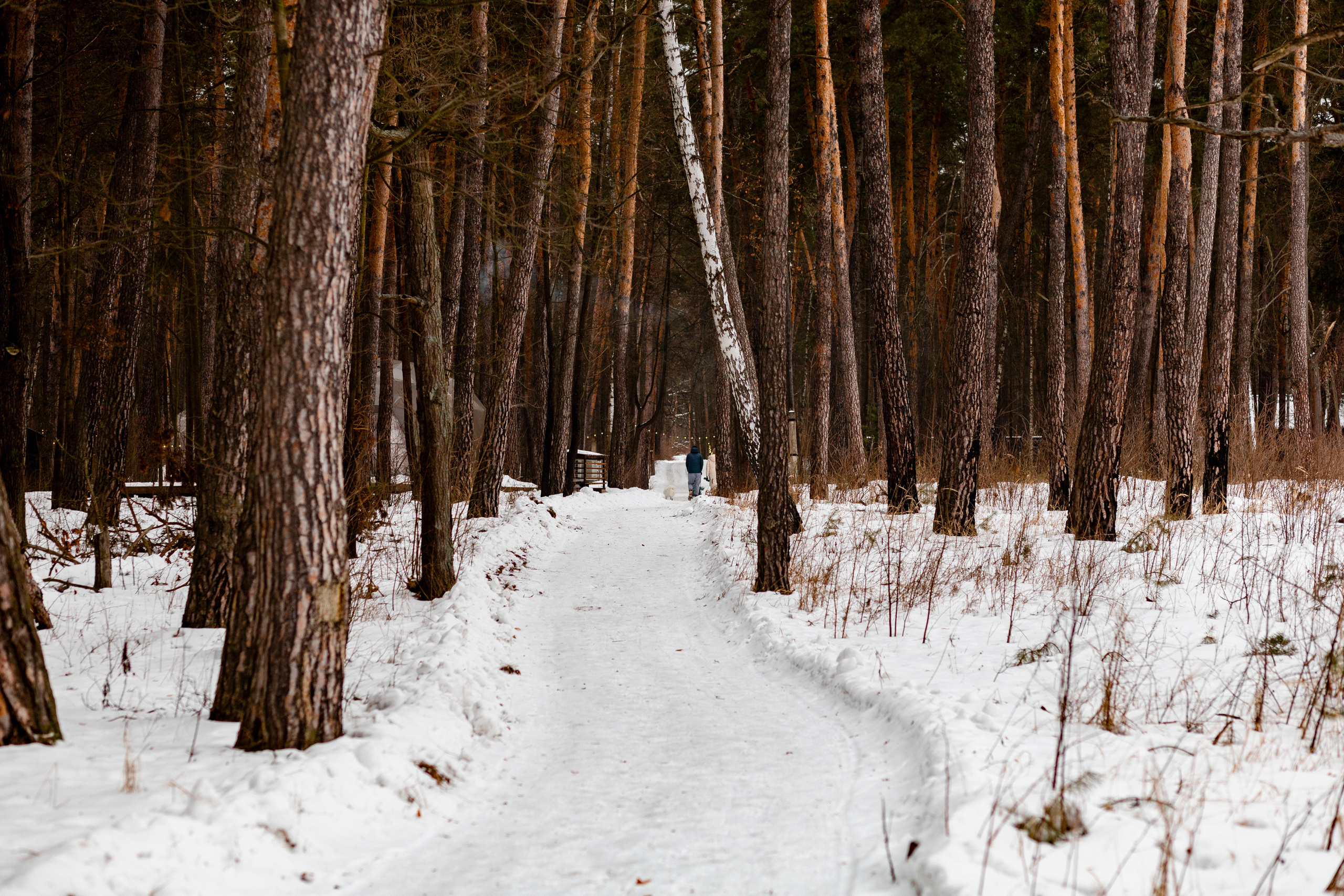 Villy Uley. Павел Шарапов | Фотограф | Москва