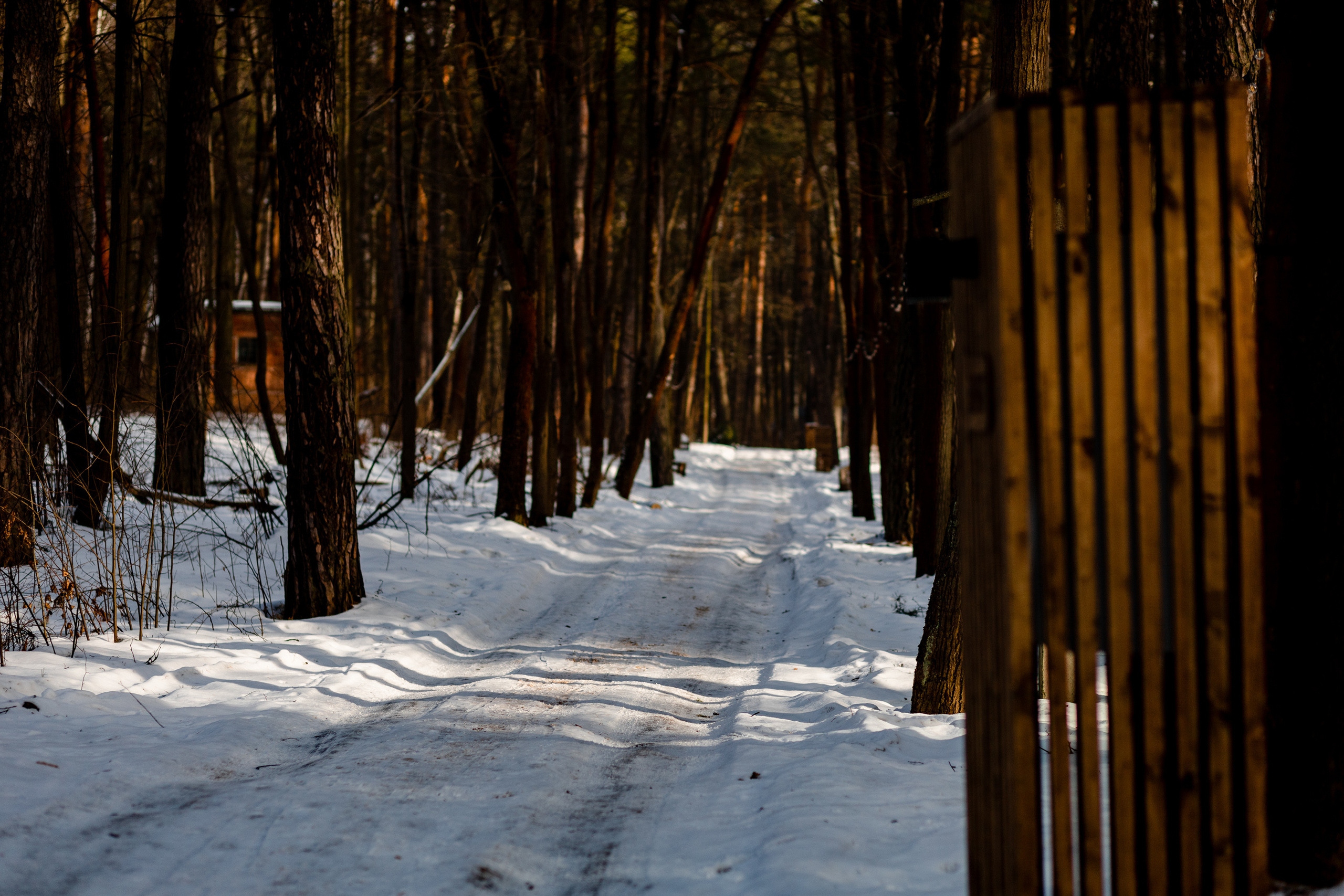 Villy Uley. Павел Шарапов | Фотограф | Москва