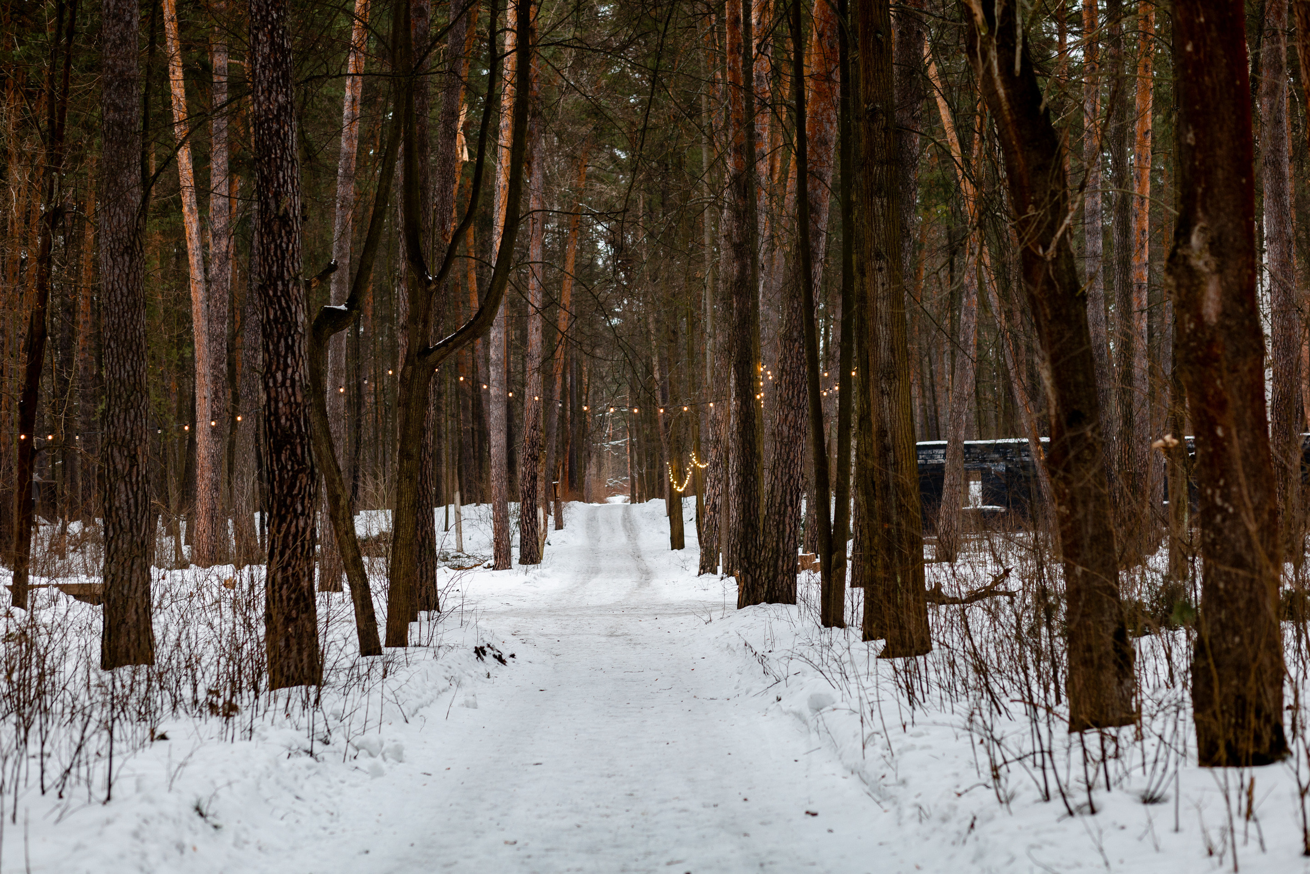 Villy Uley. Павел Шарапов | Фотограф | Москва