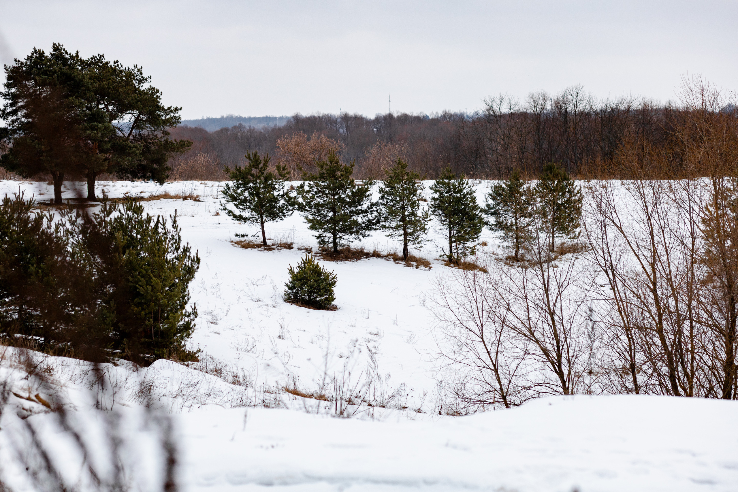Villy Uley. Павел Шарапов | Фотограф | Москва