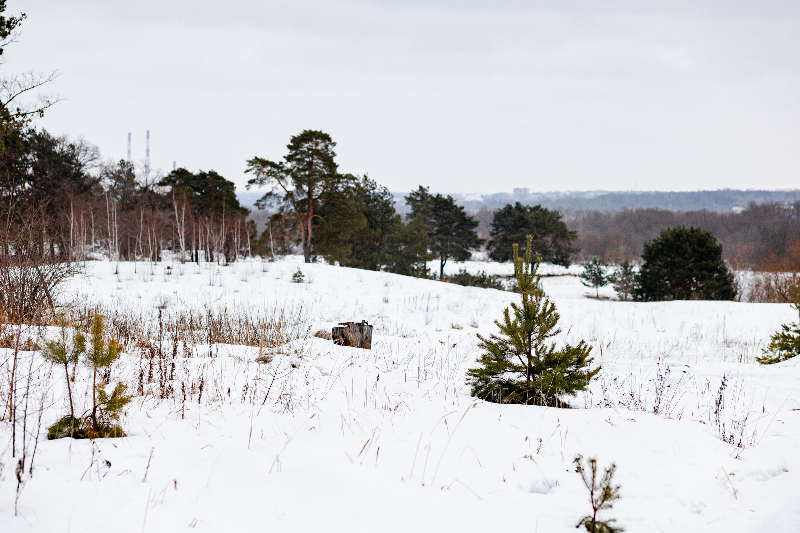 Villy Uley. Павел Шарапов | Фотограф | Москва