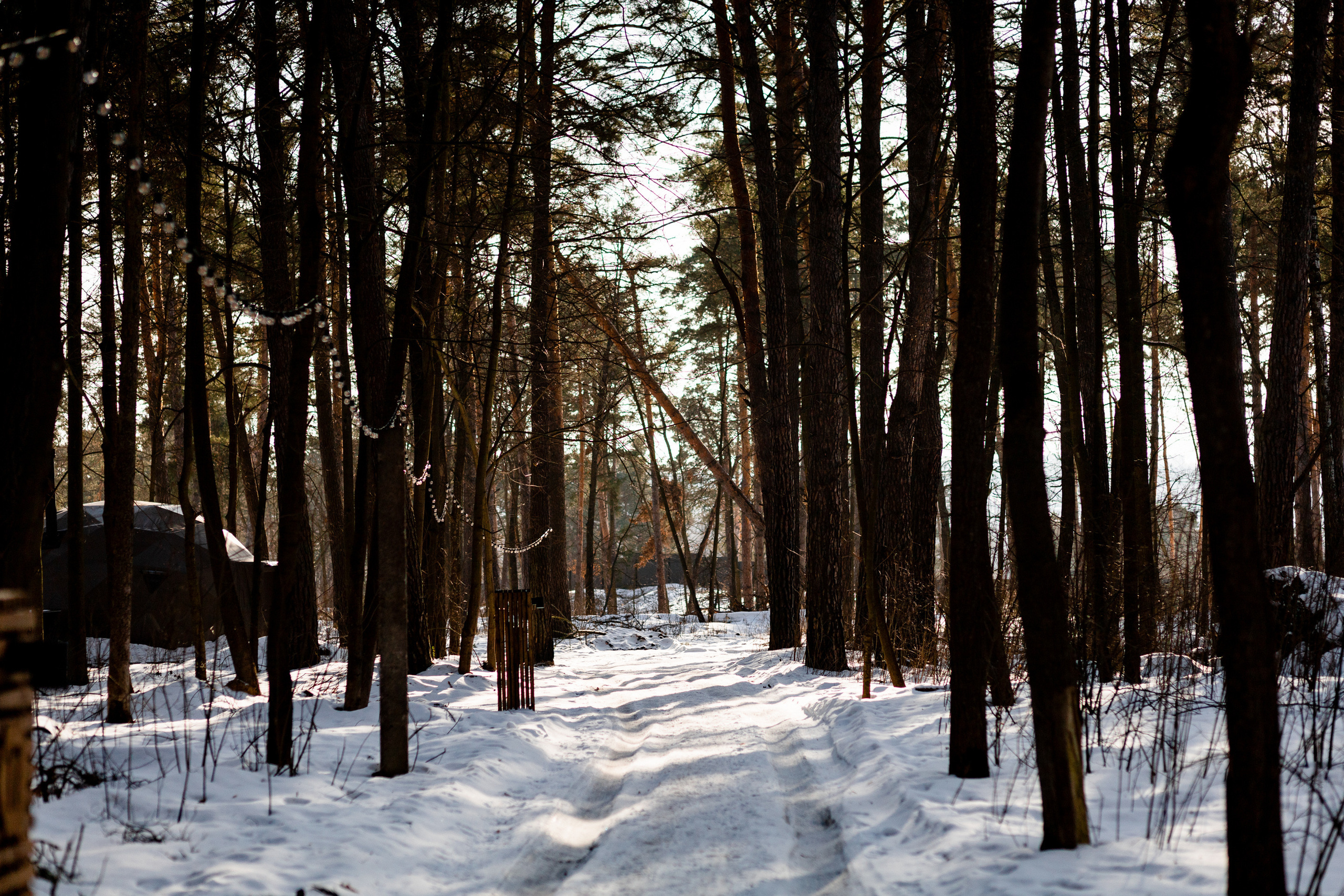 Villy Uley. Павел Шарапов | Фотограф | Москва