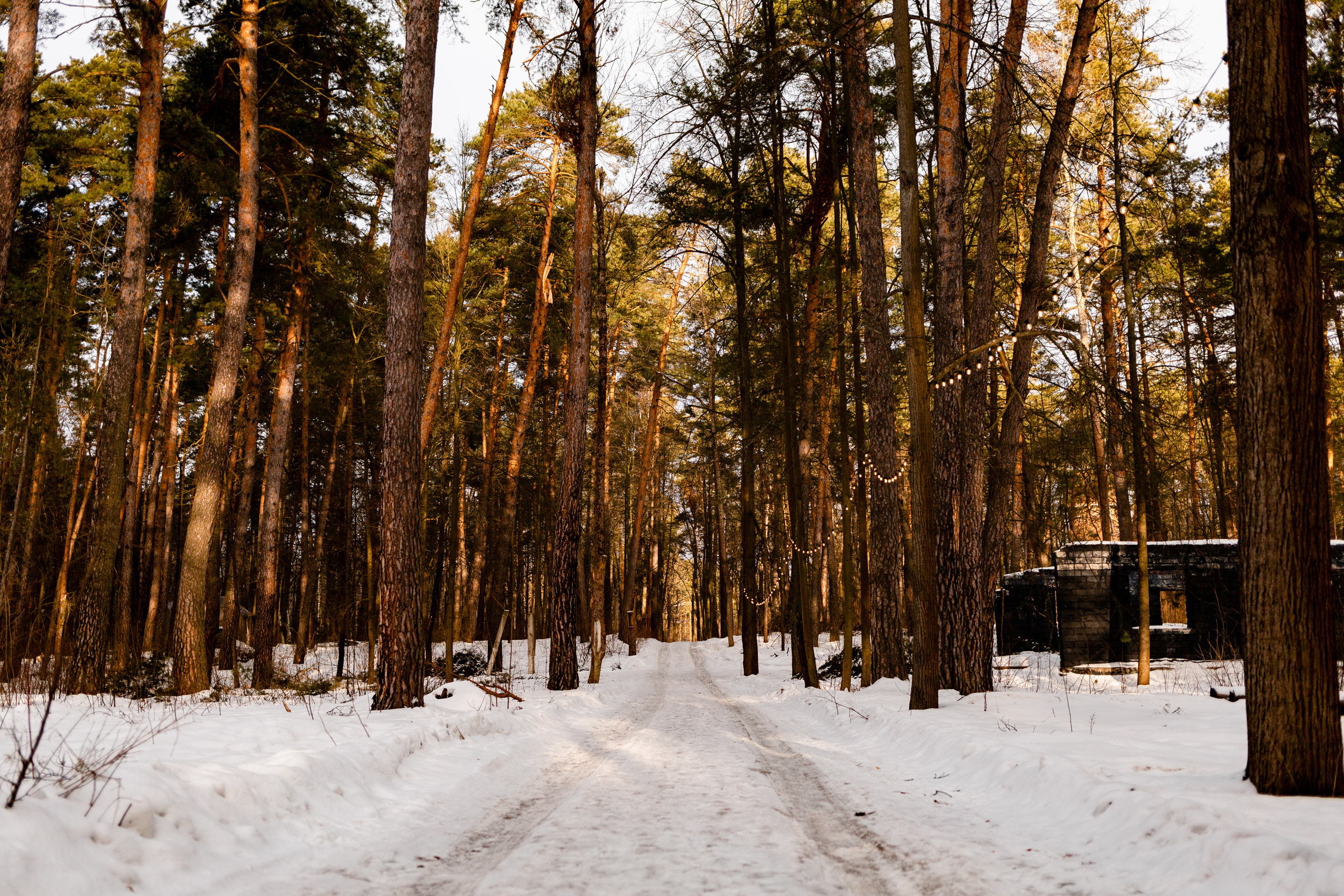 Villy Uley. Павел Шарапов | Фотограф | Москва