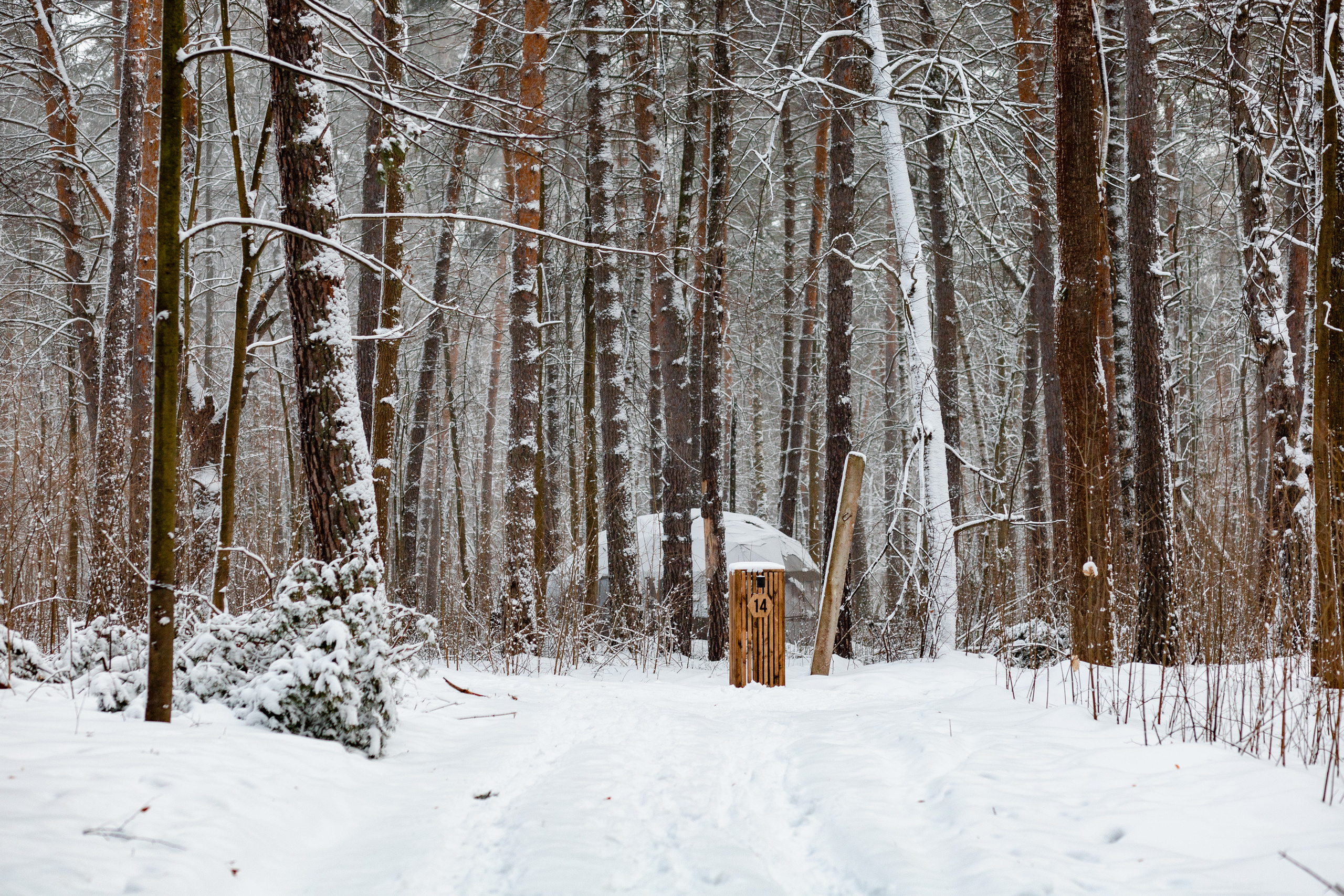 Villy Uley. Павел Шарапов | Фотограф | Москва