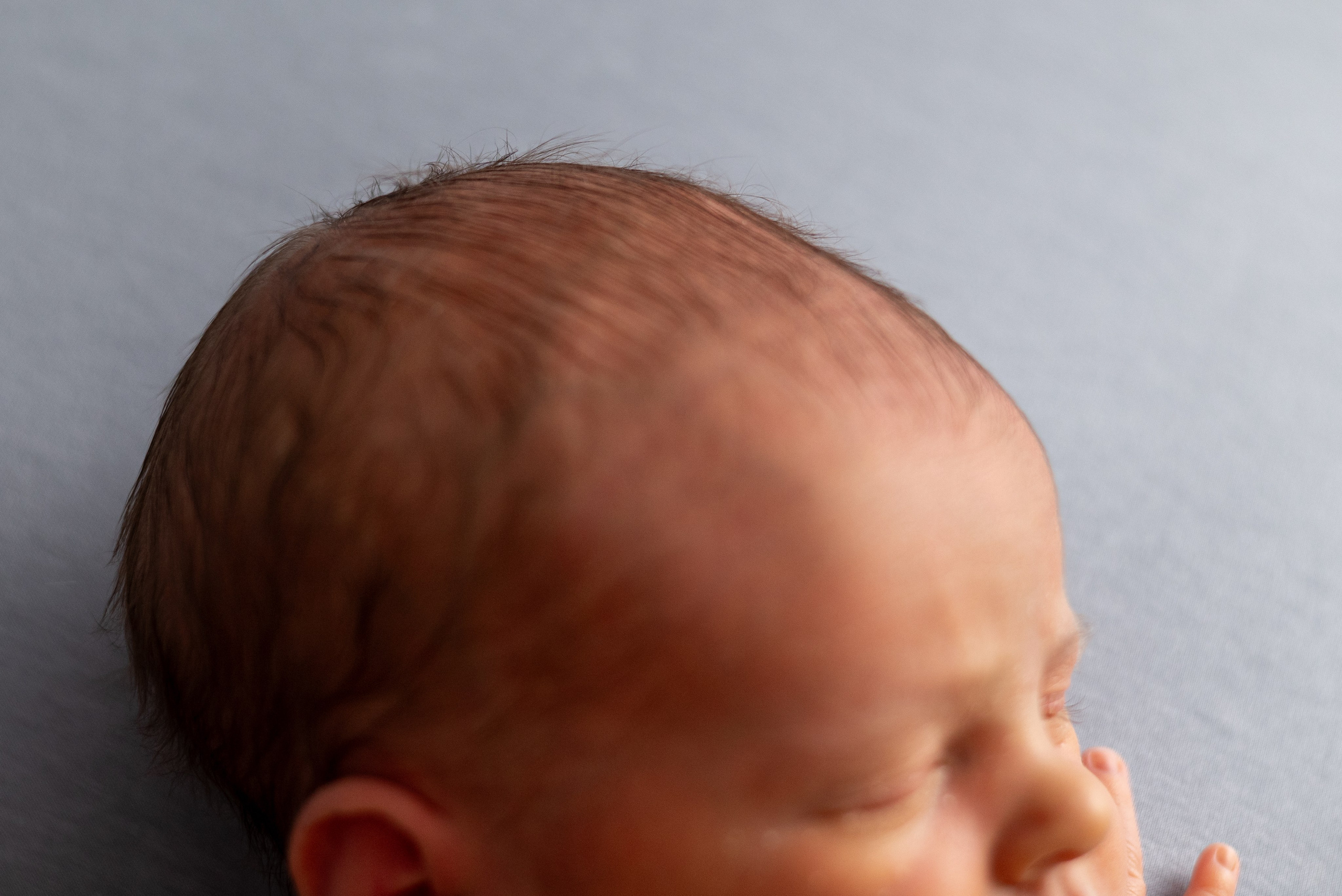 Егор. Фотограф в Санкт-Петербурге Пономарева Юлия