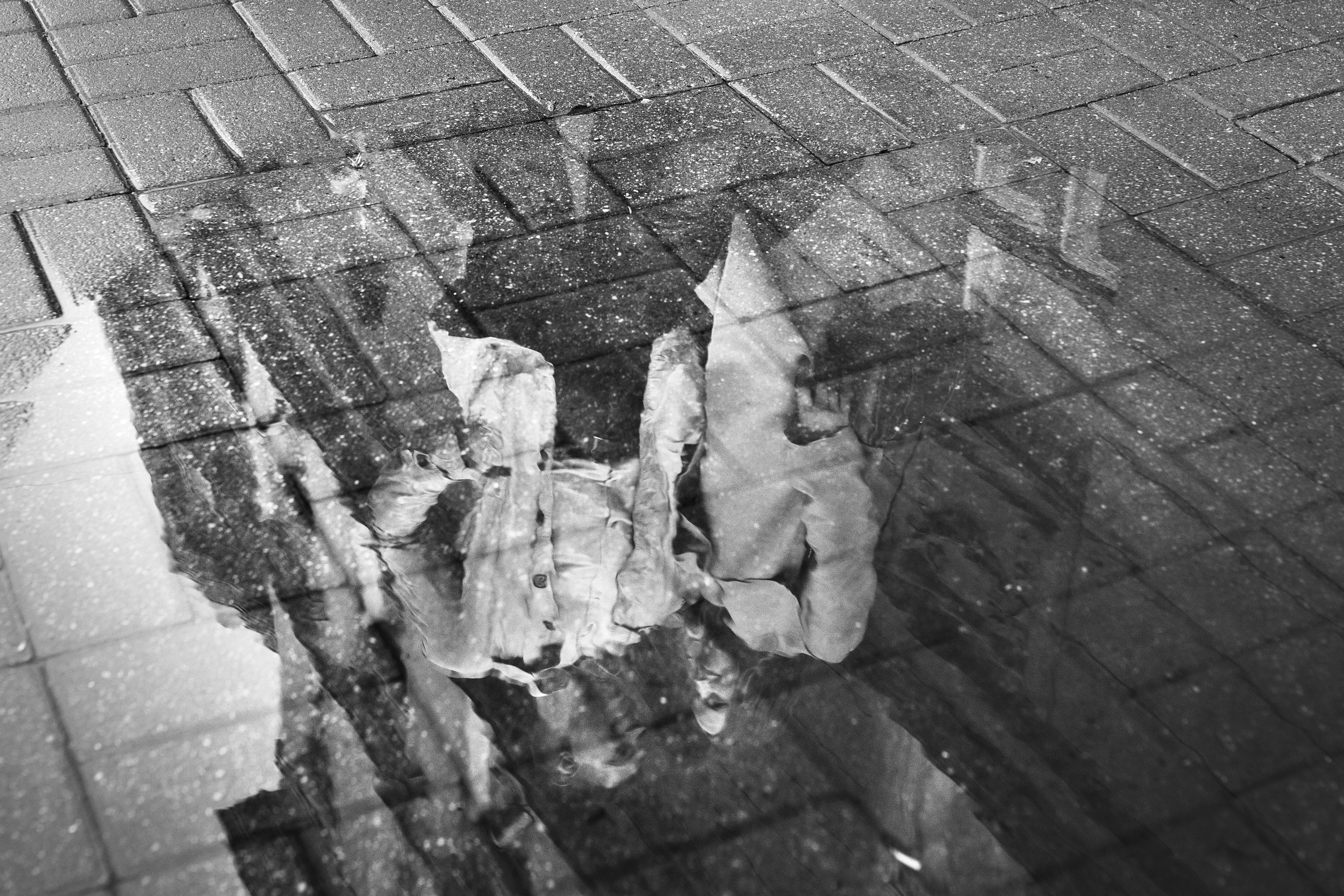 Богдан & Оля. Репортажный фотограф Александр Задорин, Минск, Беларусь