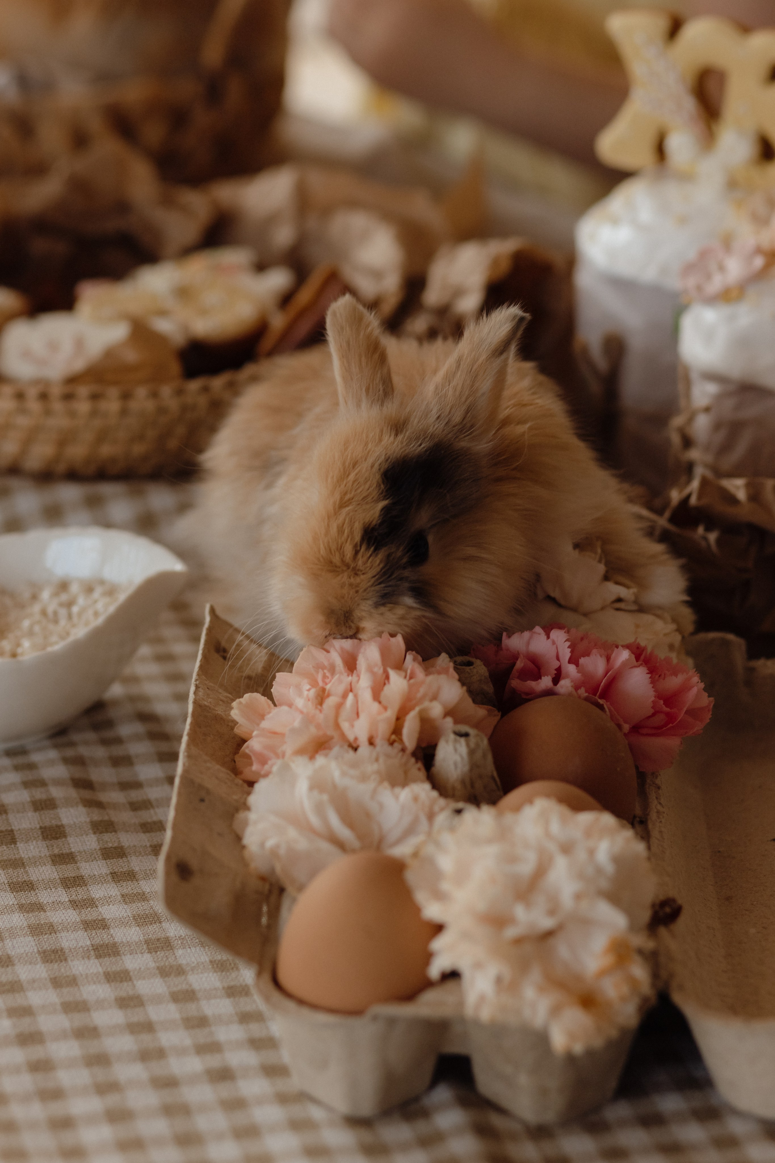 Варвара. Семейный и свадебный фотограф в Челябинске Мария Леонтьева