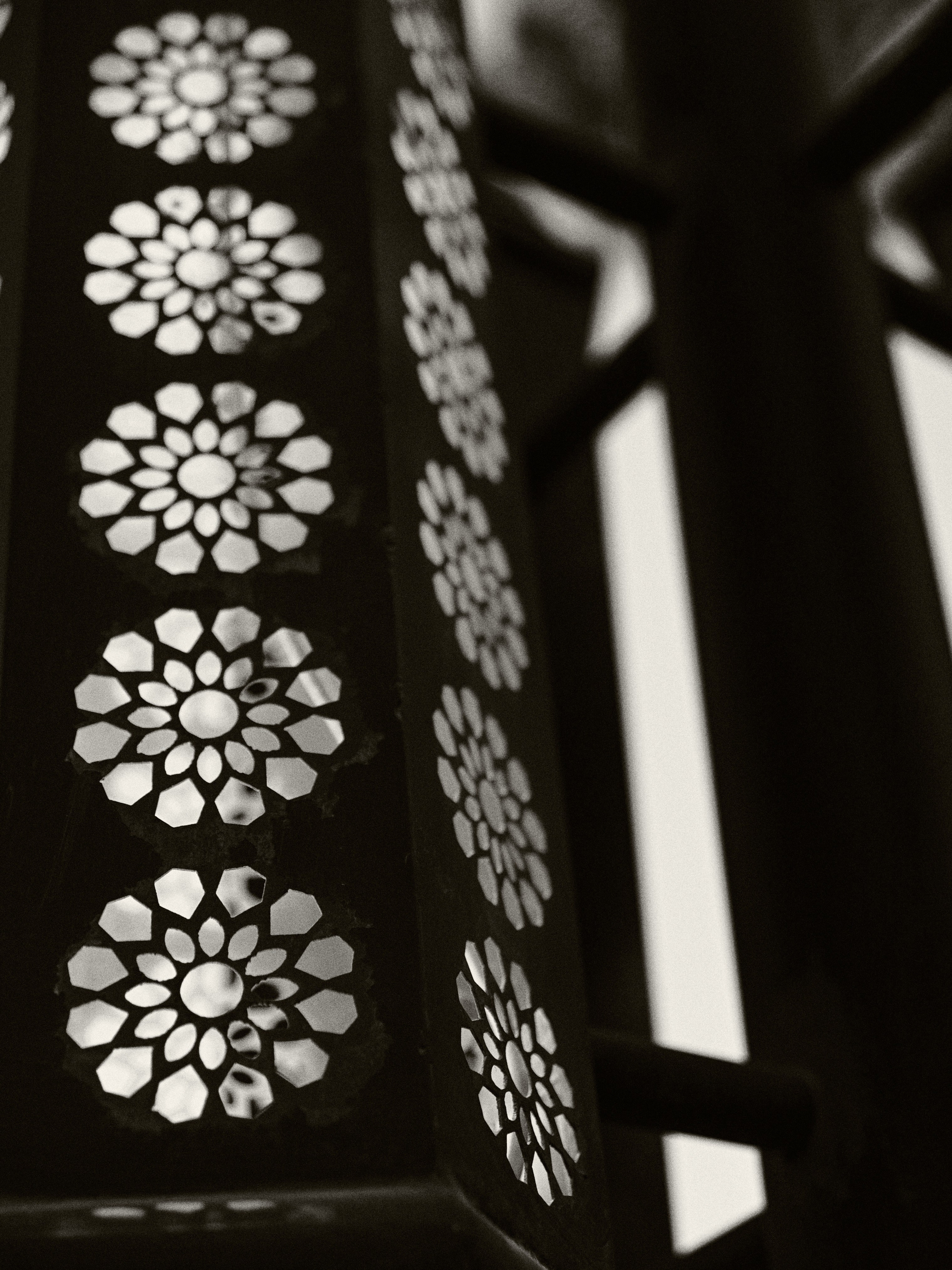 B&W. Jorgis — фотограф в Хургаде / обучение фотографии