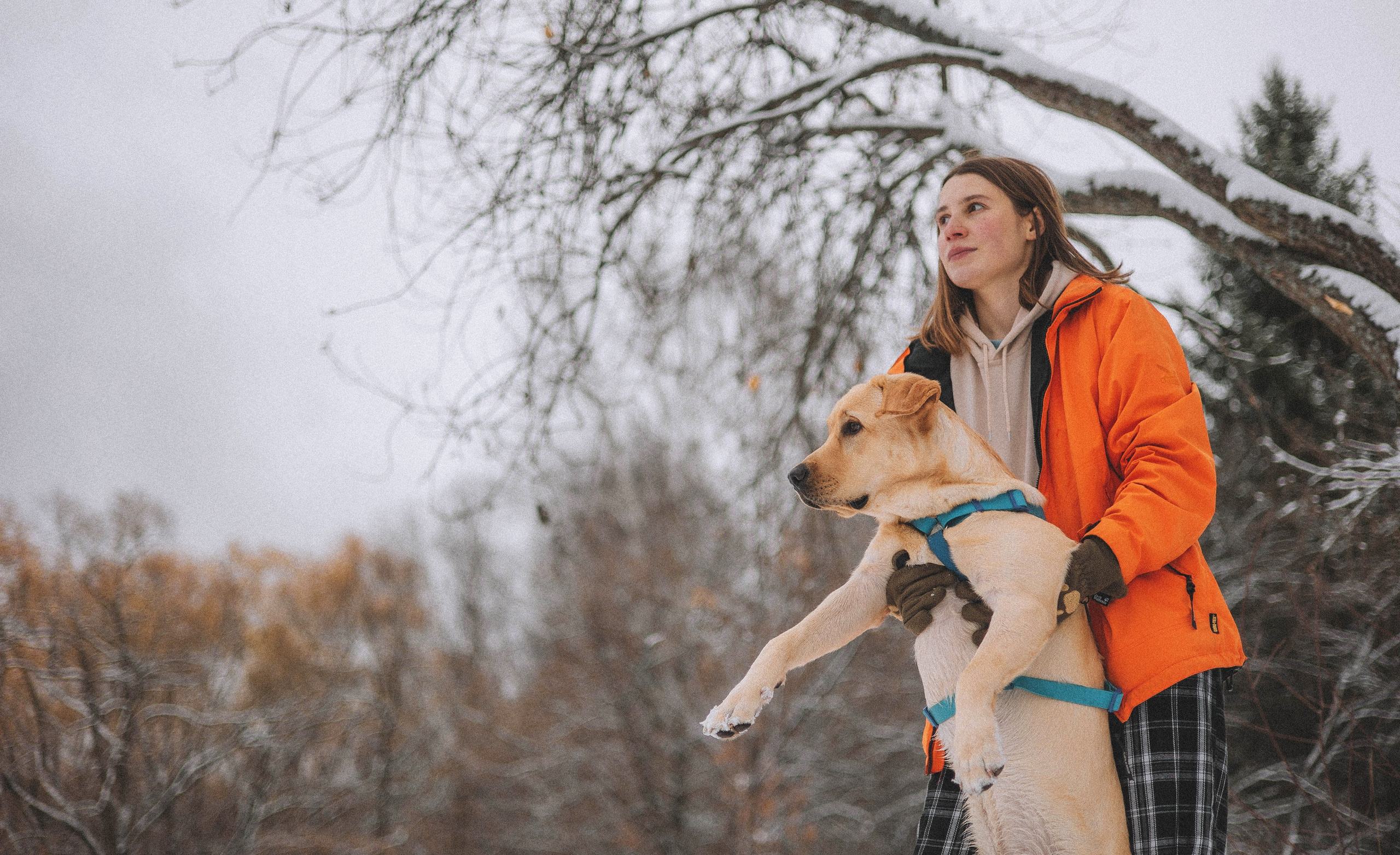 Маргарита и Варди. Фотограф-анималист Богданова Полина