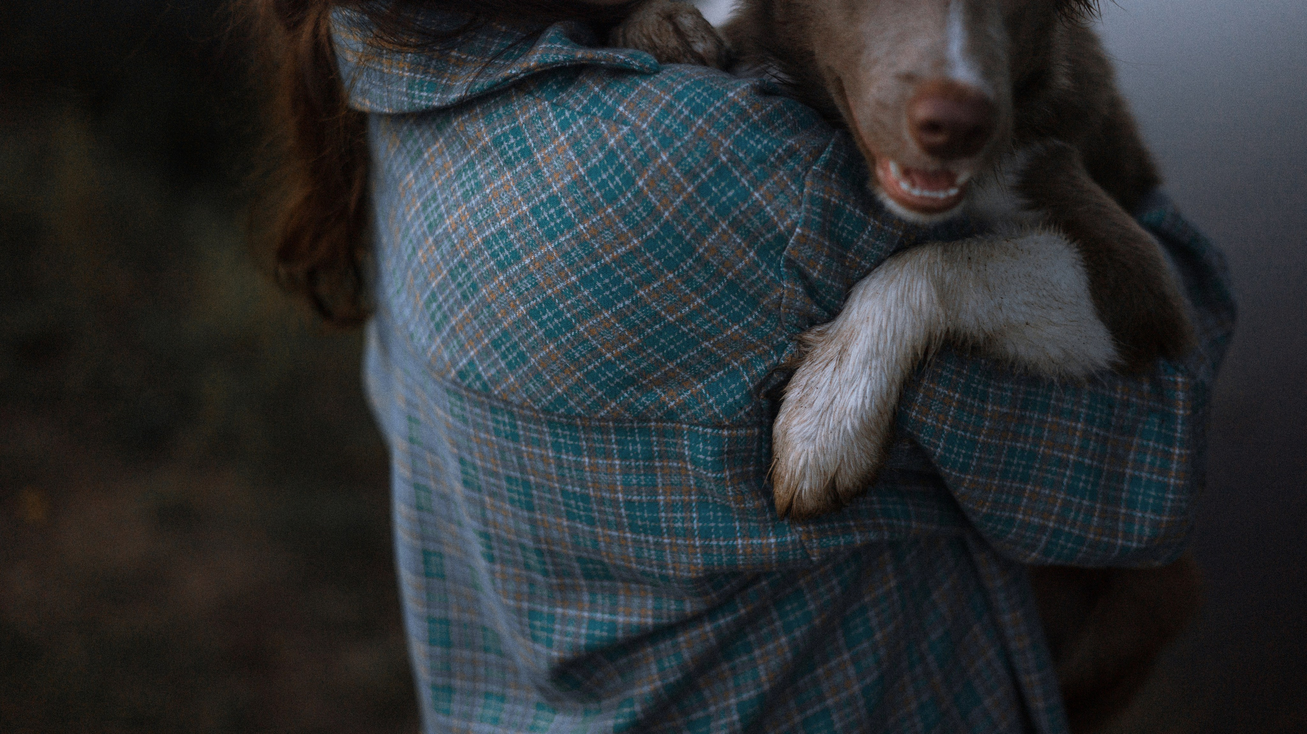 Полина и Паддингтон. Фотограф-анималист Богданова Полина
