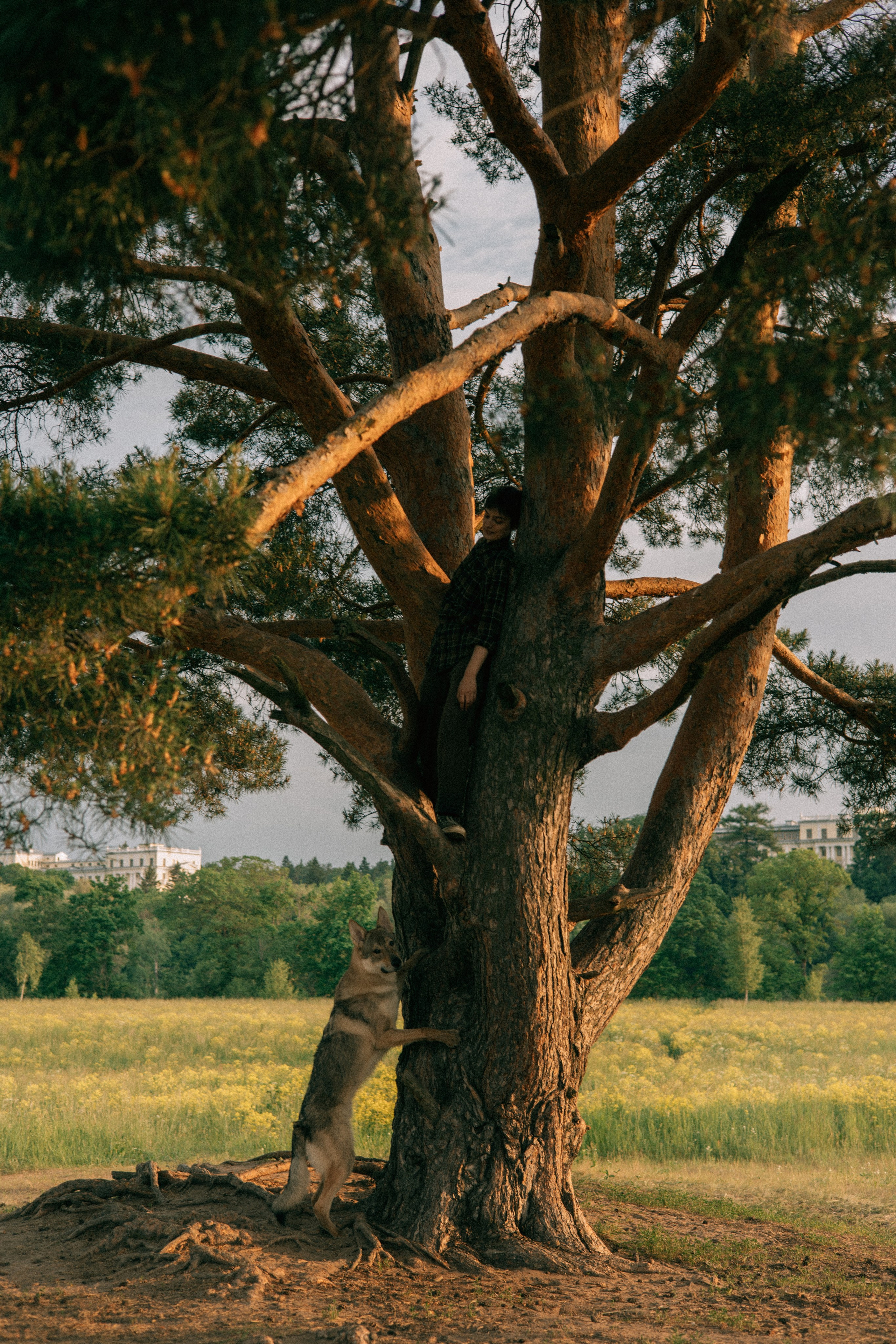 Маша и Дэрил. Фотограф-анималист Богданова Полина