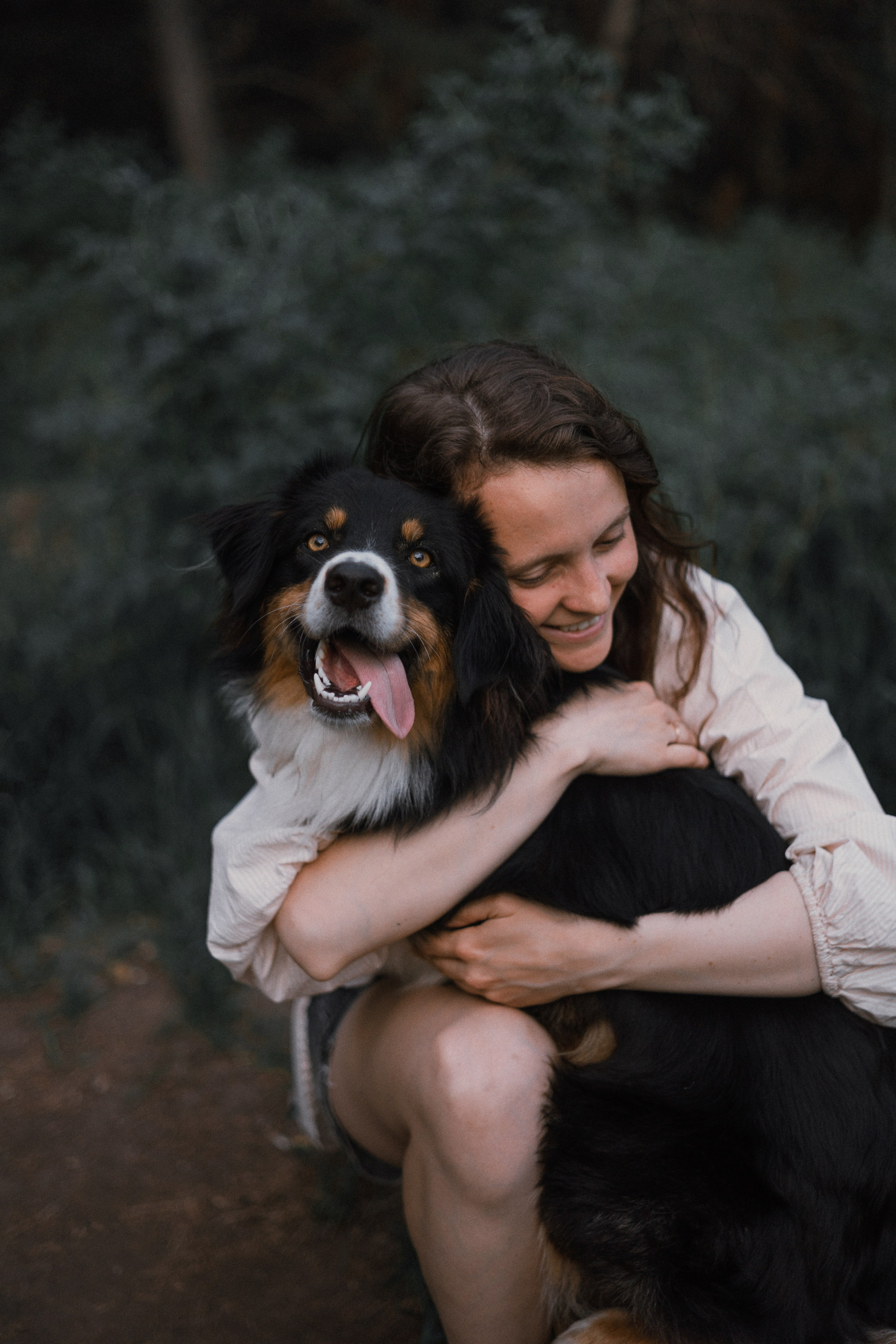 Настя, Шуня, Милка и Тигуан. Фотограф-анималист Богданова Полина