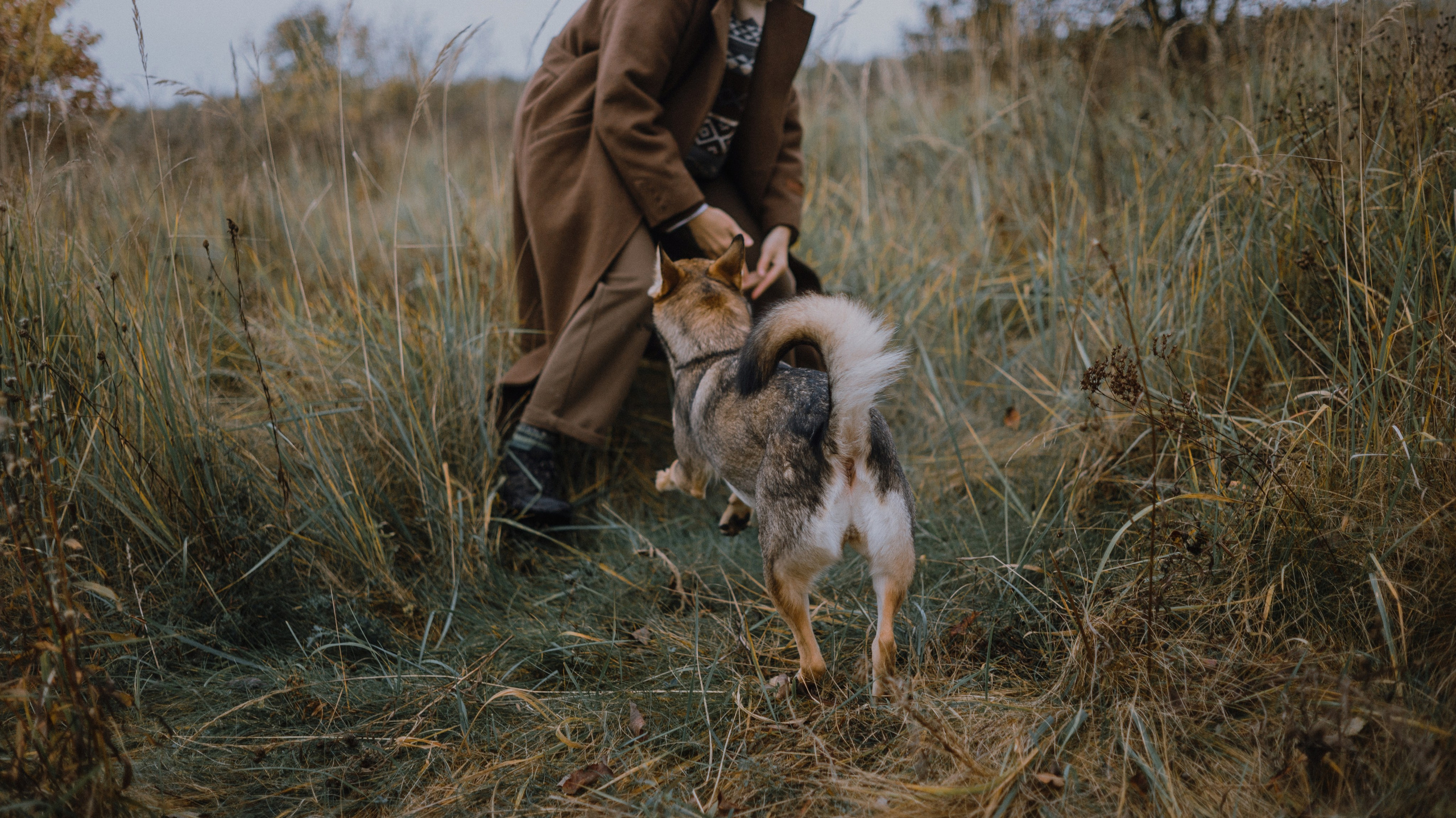Маша, Катя, Астрид и Мася. Фотограф-анималист Богданова Полина
