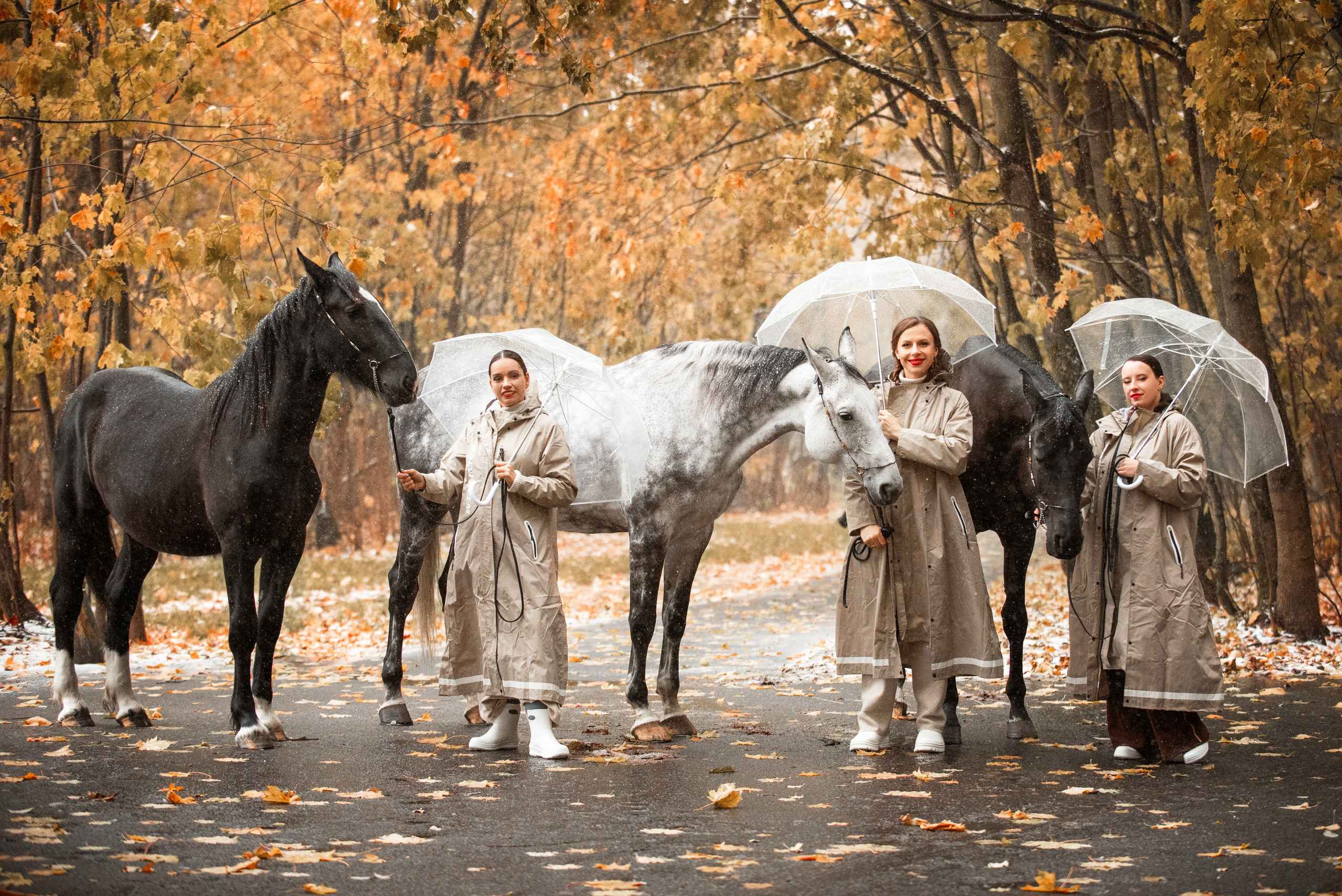 ЮНА «Осень». Куракина Дарья • Конный фотограф