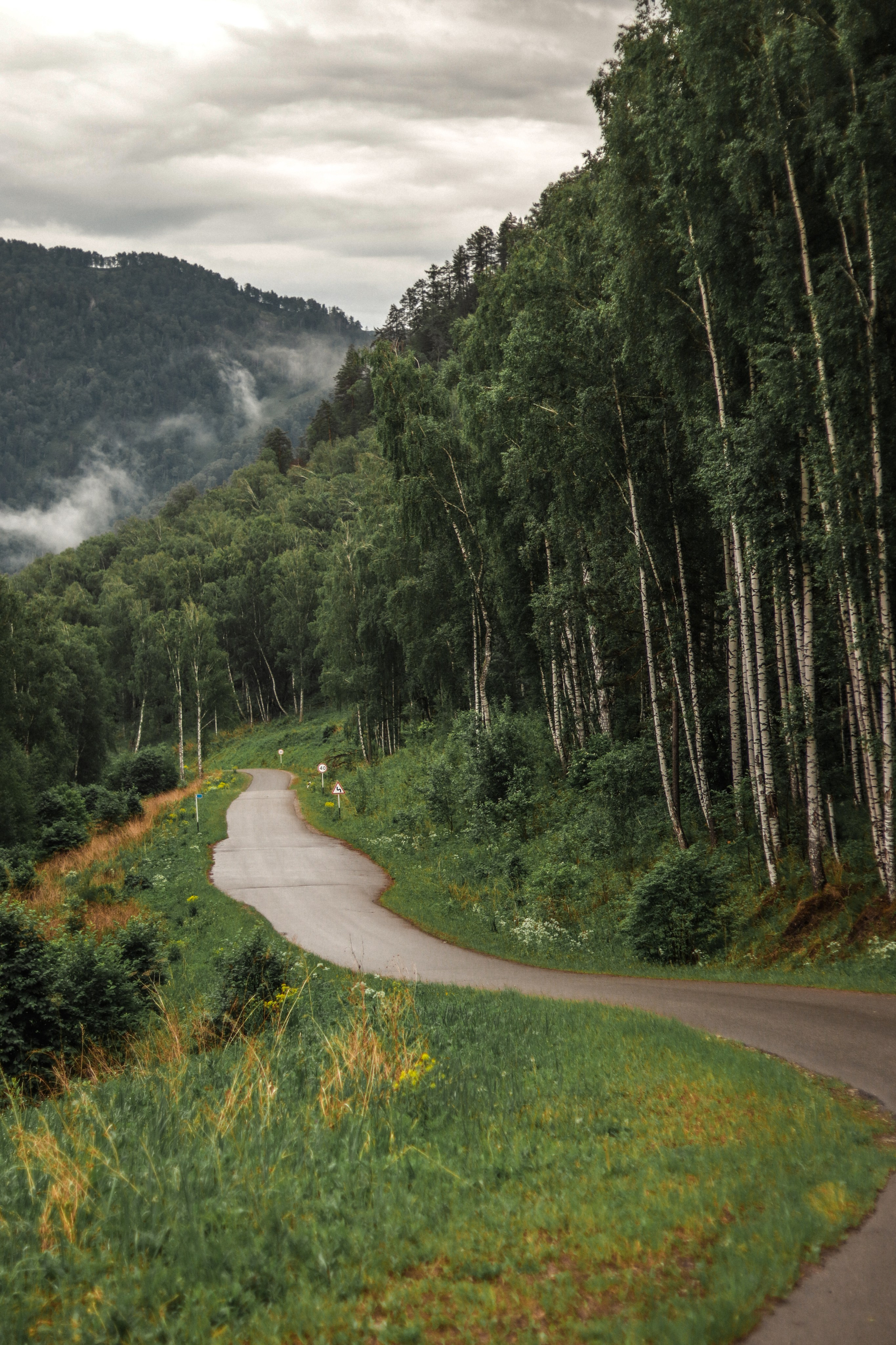 «Красный камень» база отдыха, респ. Алтай. Контент фотограф Дмитрий Борисов
