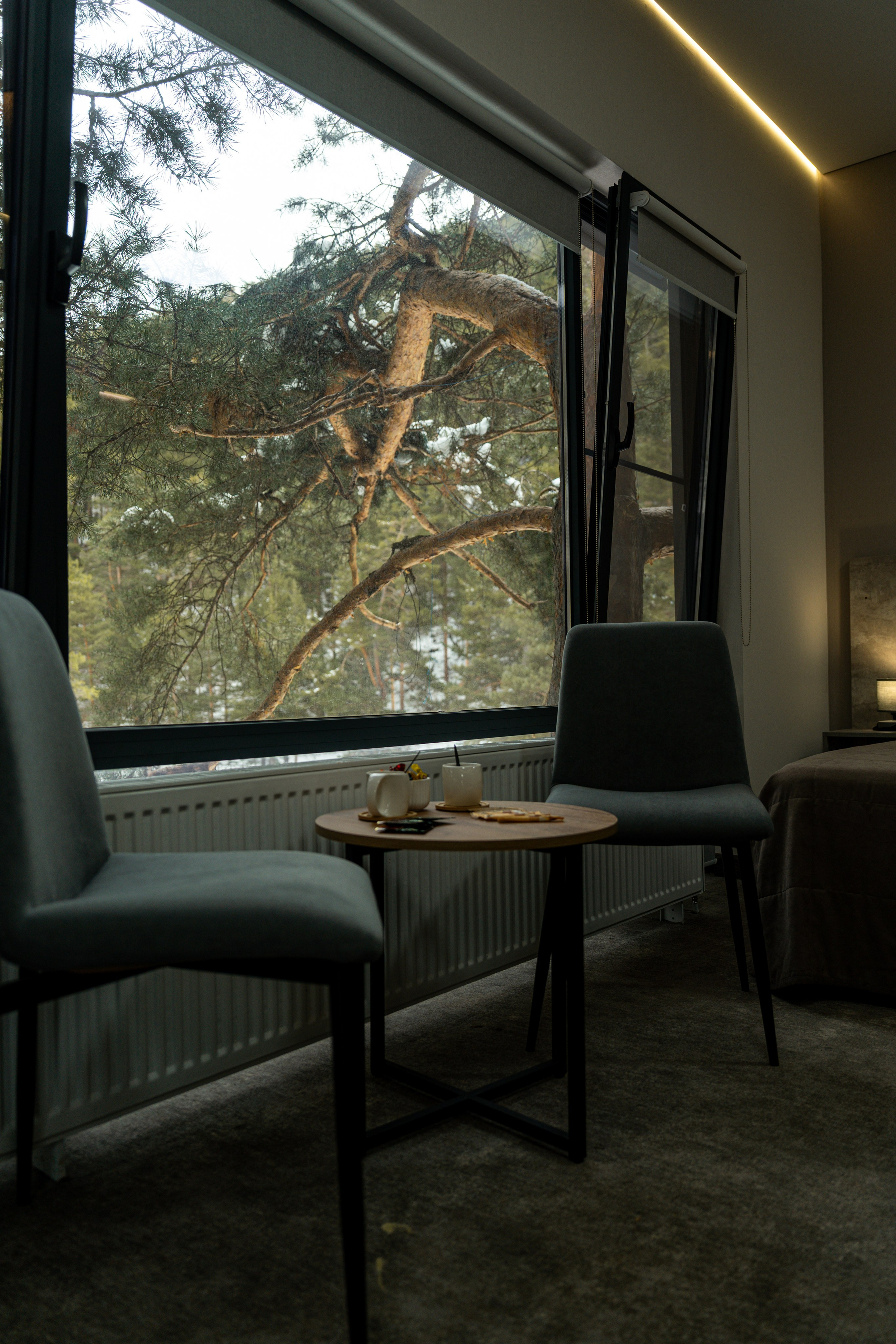 Эклер. Фотограф и видеограф Елена Хмелевская