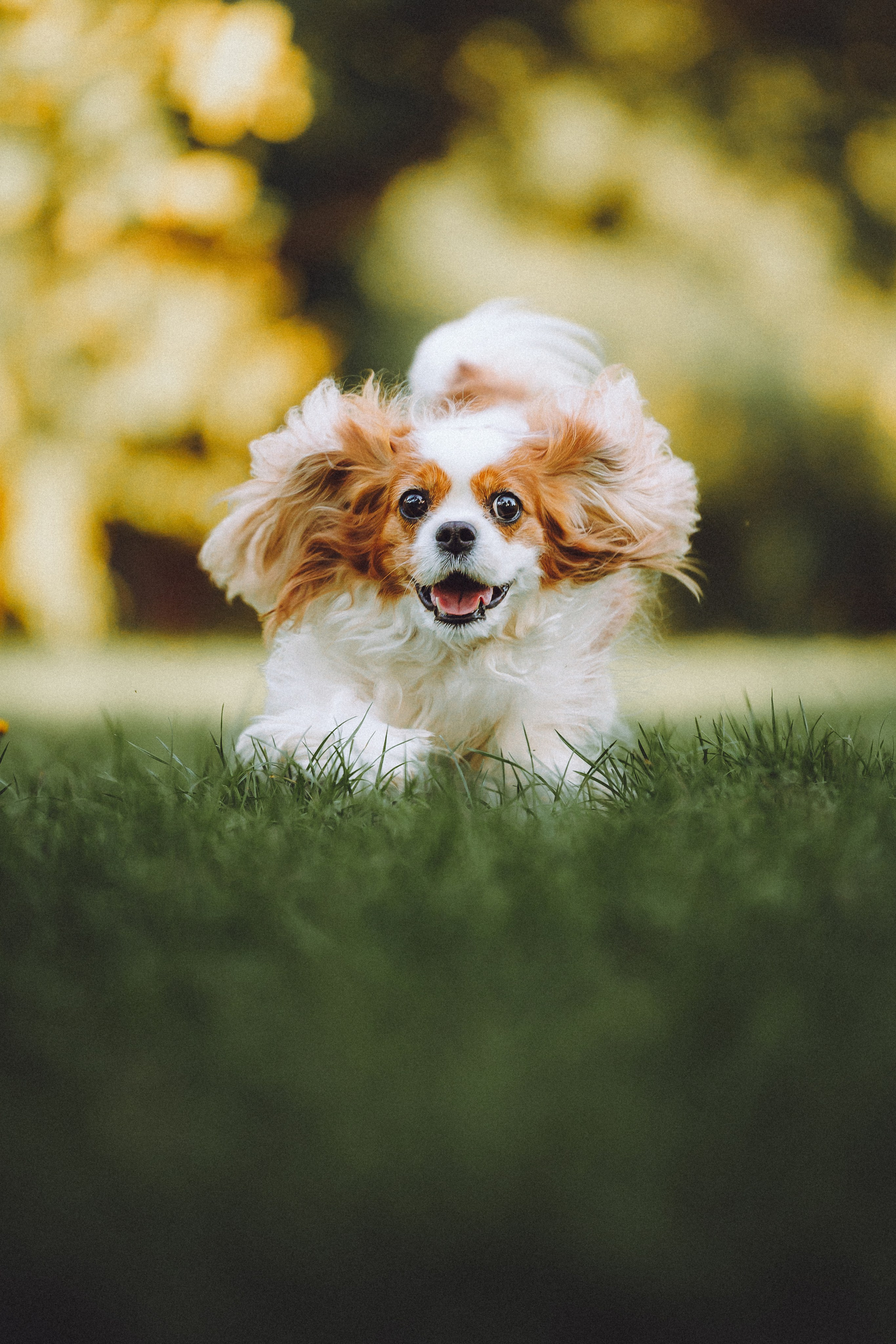 Наташа и Вики