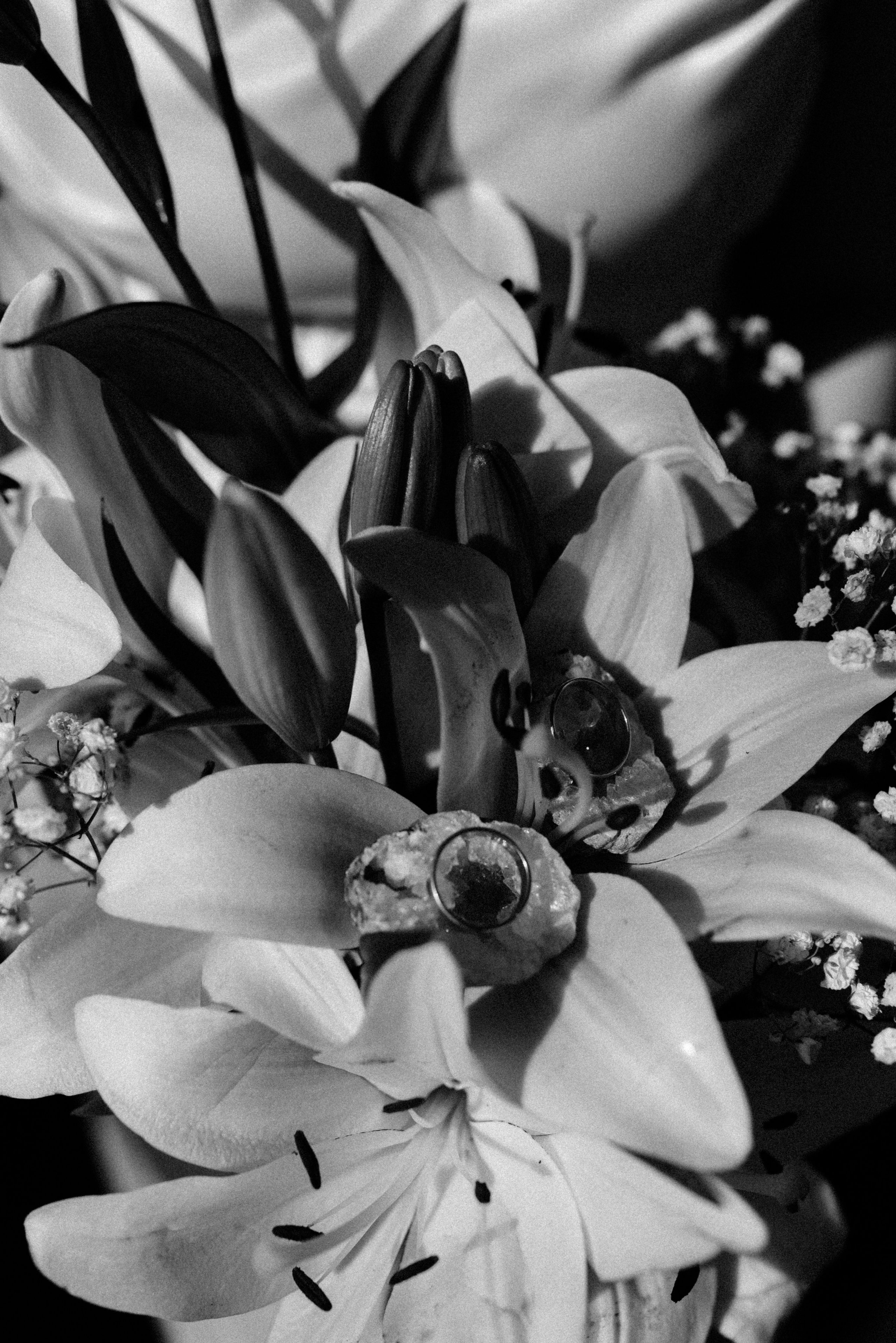 Иван и Яна|Новороссийск. Фотограф Санкт-Петербург, Новороссийск