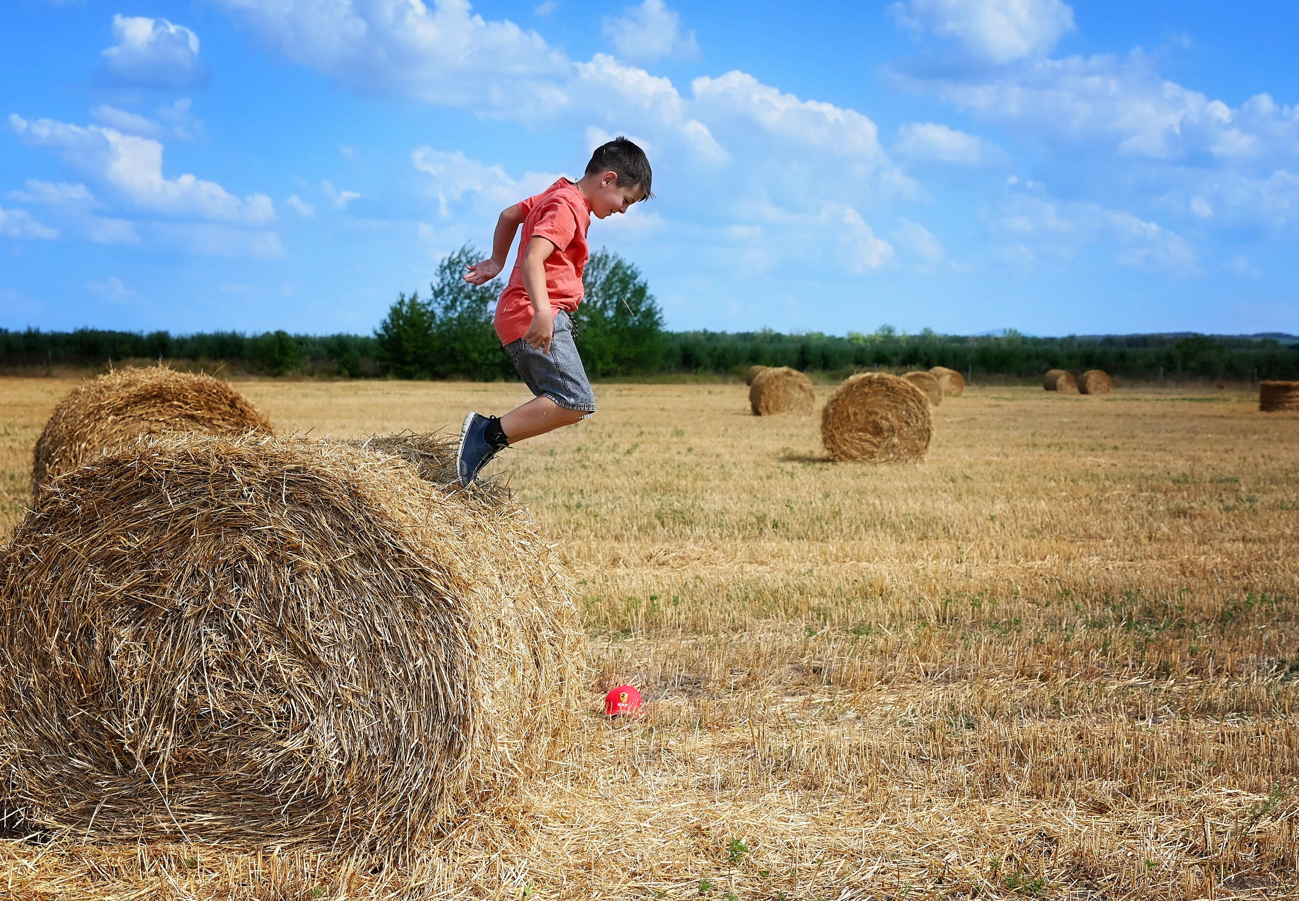 Сено. Главная