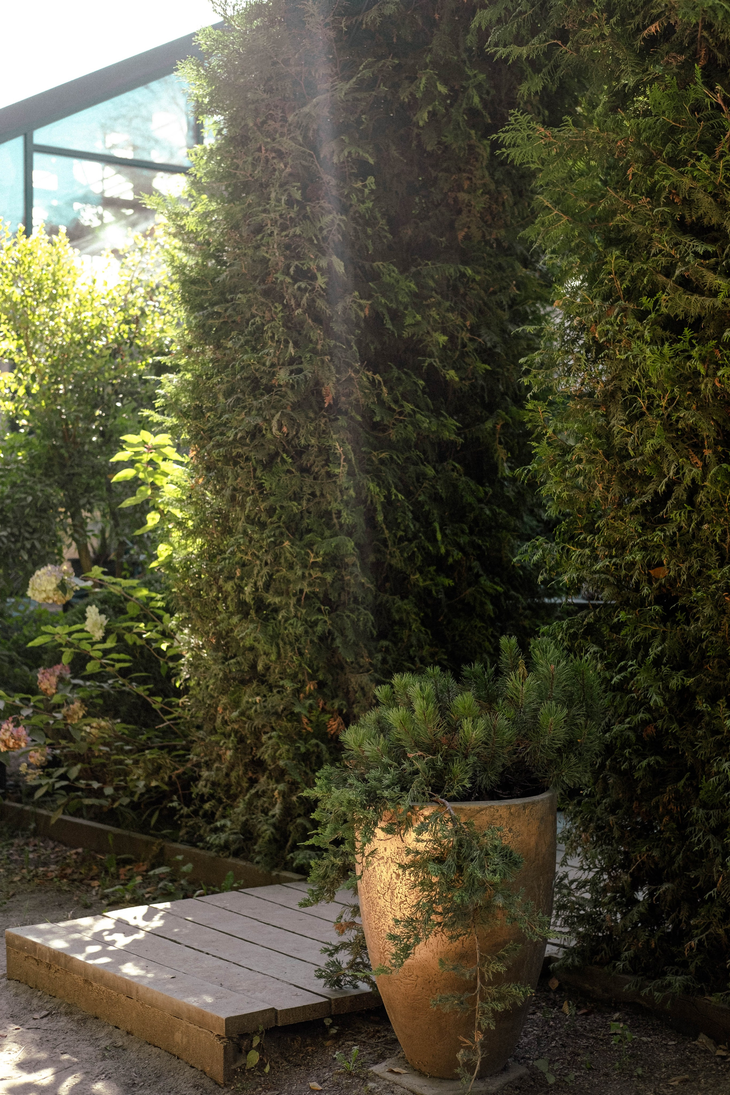 Москва 2024. Свадебный и семейный фотограф в Новосибирске, Санкт-Петербурге, Москве