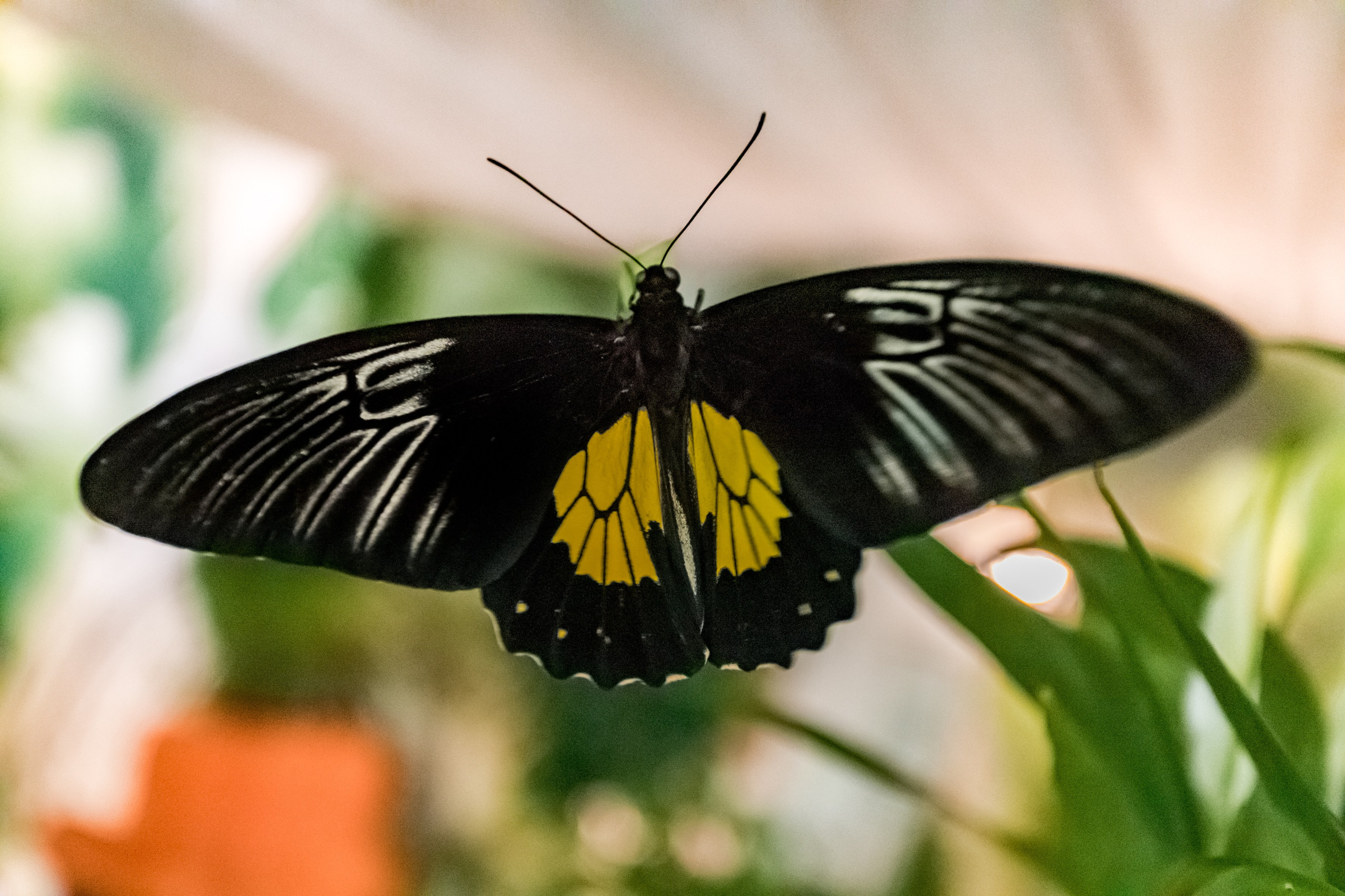 Фотосъемка коммерческих помещений для сайта, карт, соц.сетей. Интерьеры, Контент, Портреты | Фотограф в Москве Дани Терно