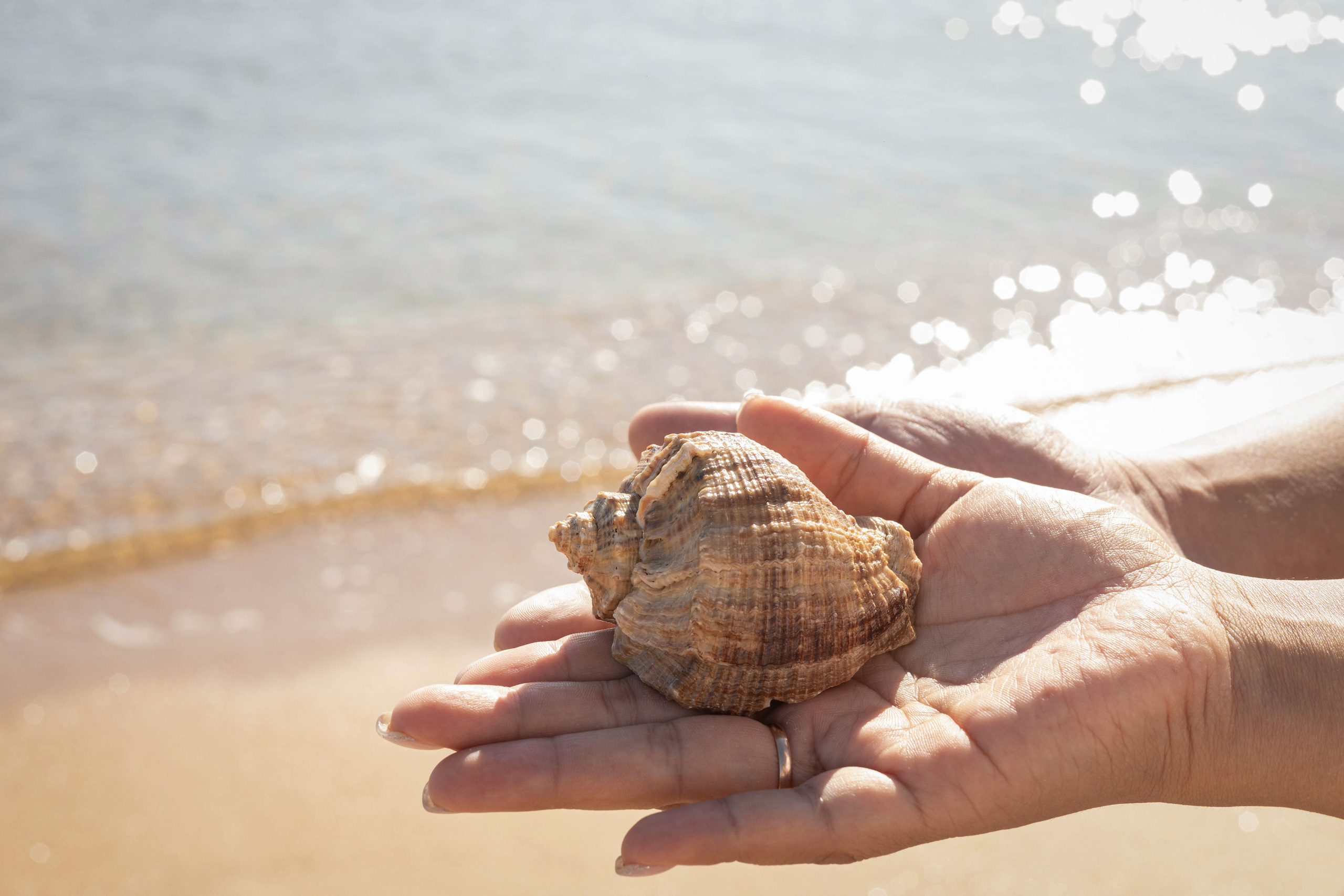 Лёша и Даша