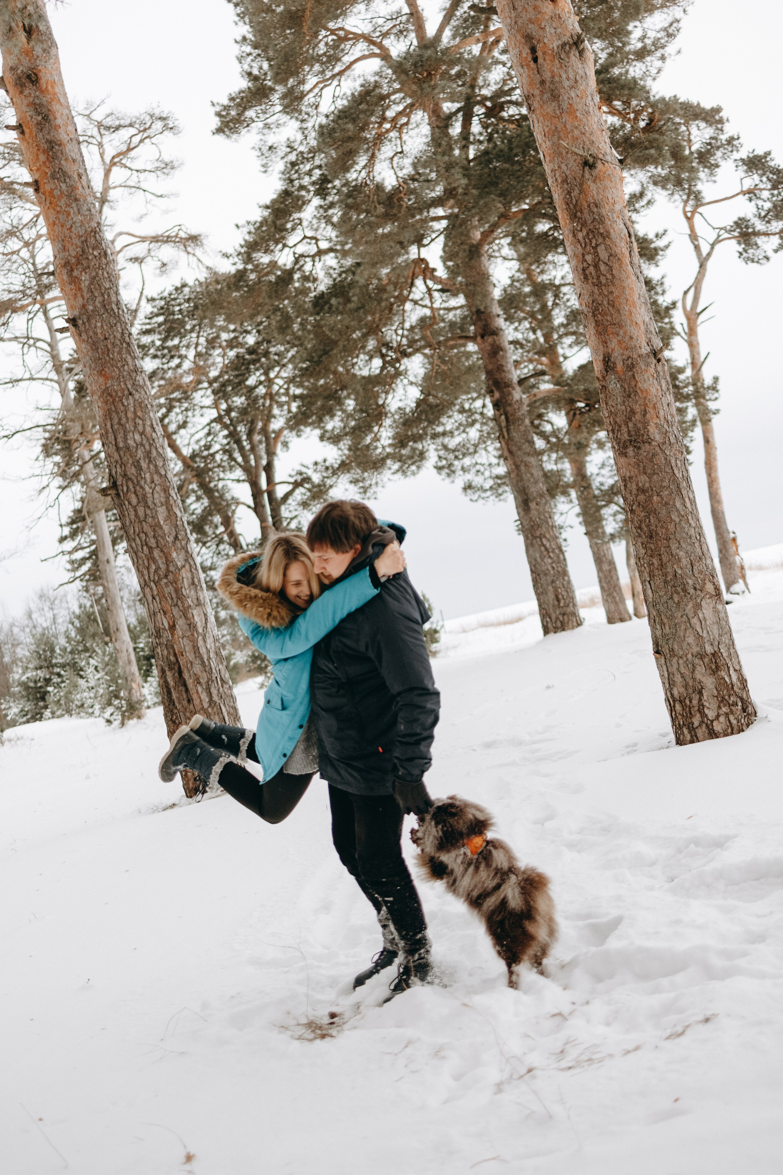 Пресеты. Фотограф — Анималист | Санкт-Петербург