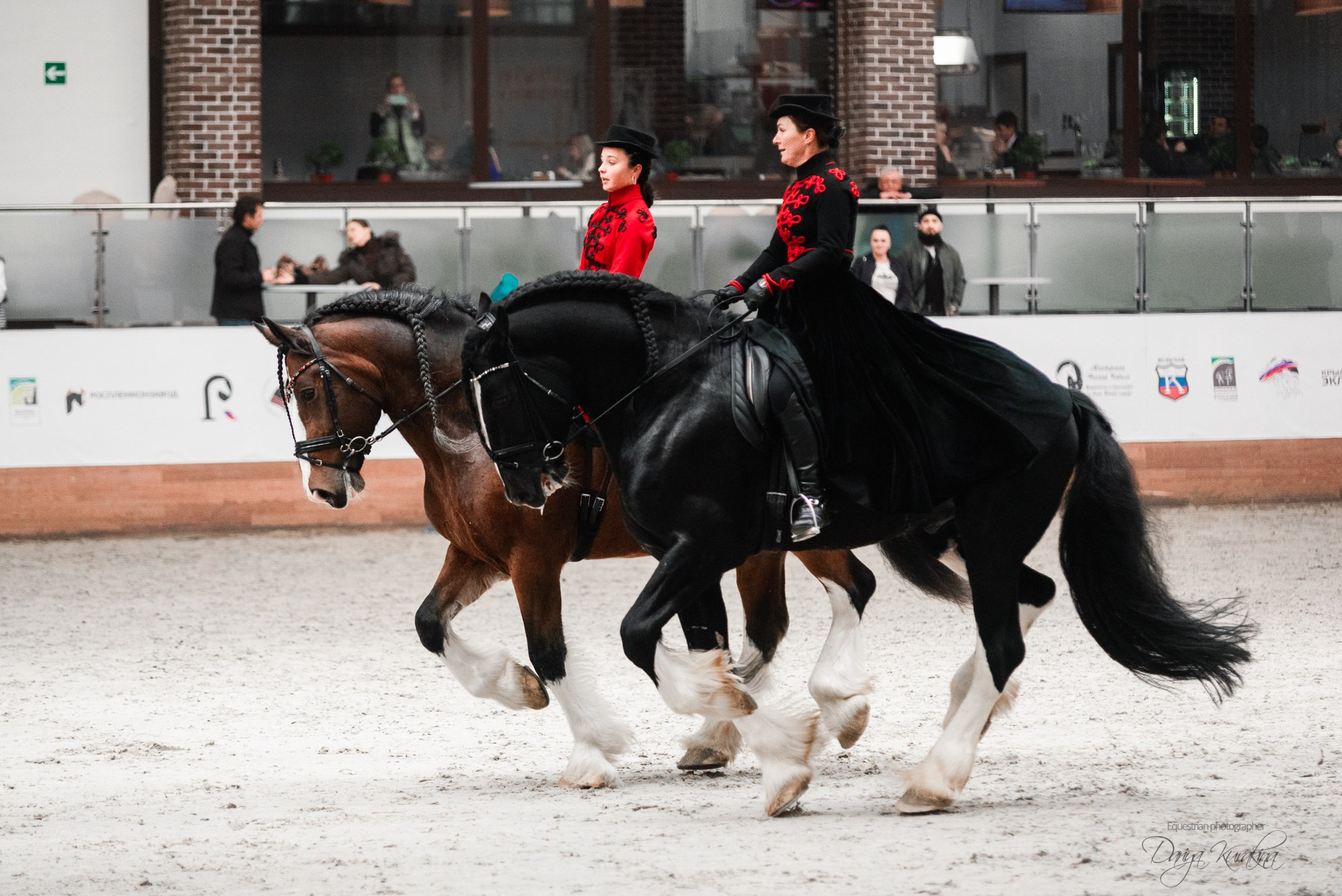 8-я международная выставка Конная Россия. Конный фотограф Куракина Дарья • Фотосессии с лошадьми