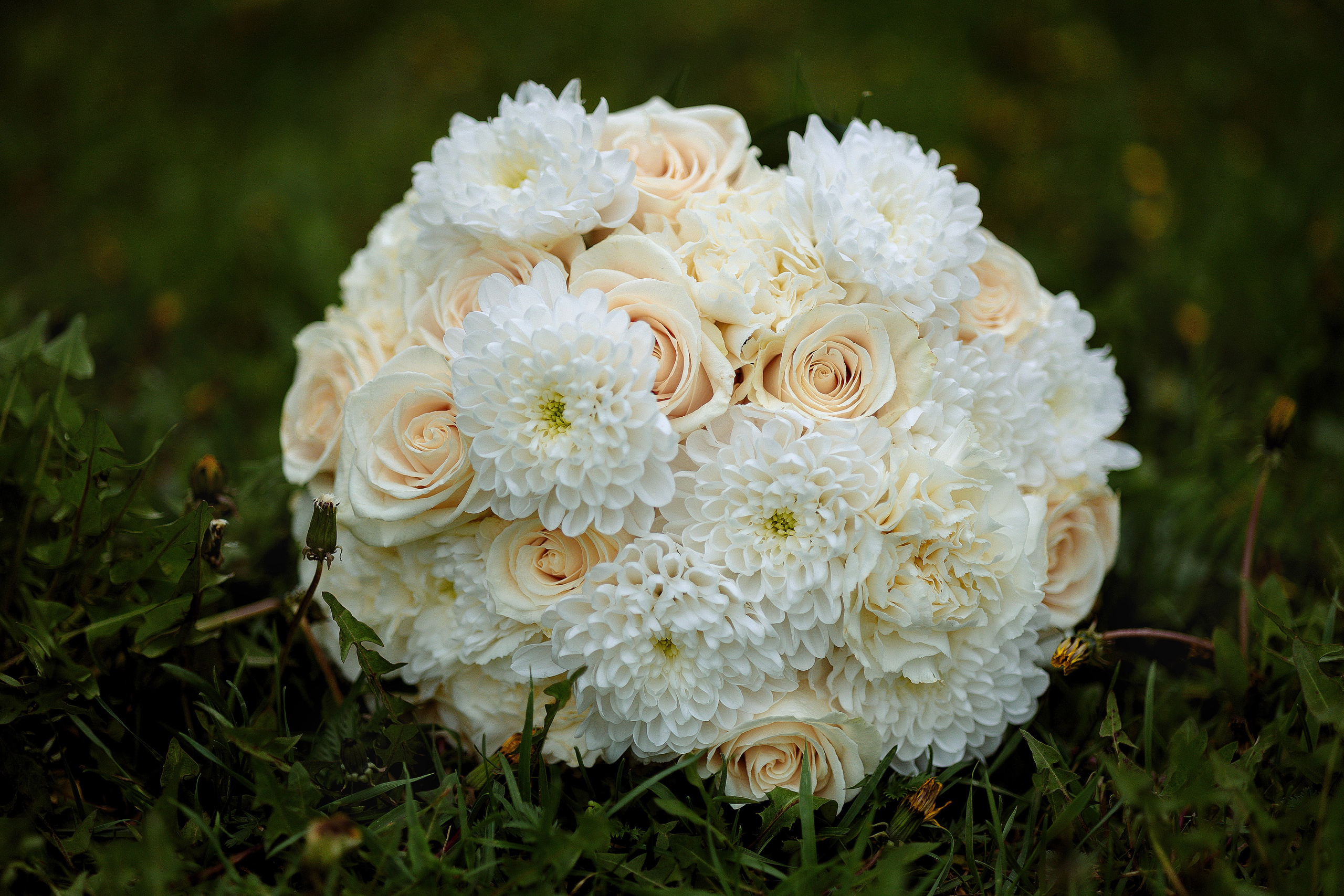 WED София&Сергей. Фотограф в Омске