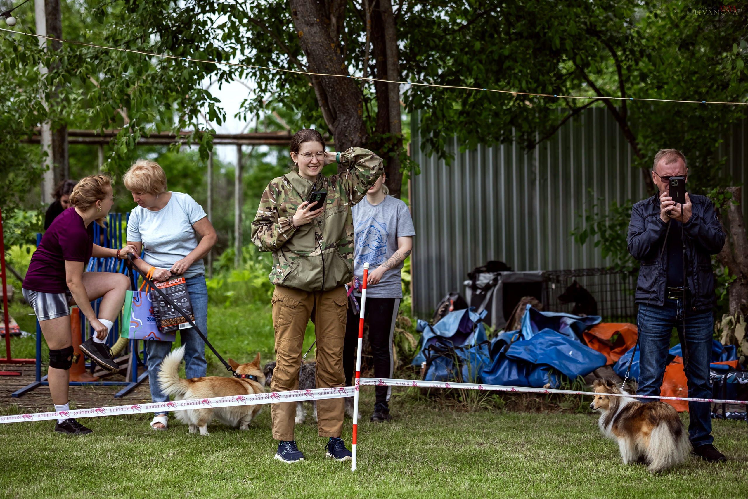 Аджилити Рыбинск. Фотограф анималист Аня Ливанова | Рыбинск