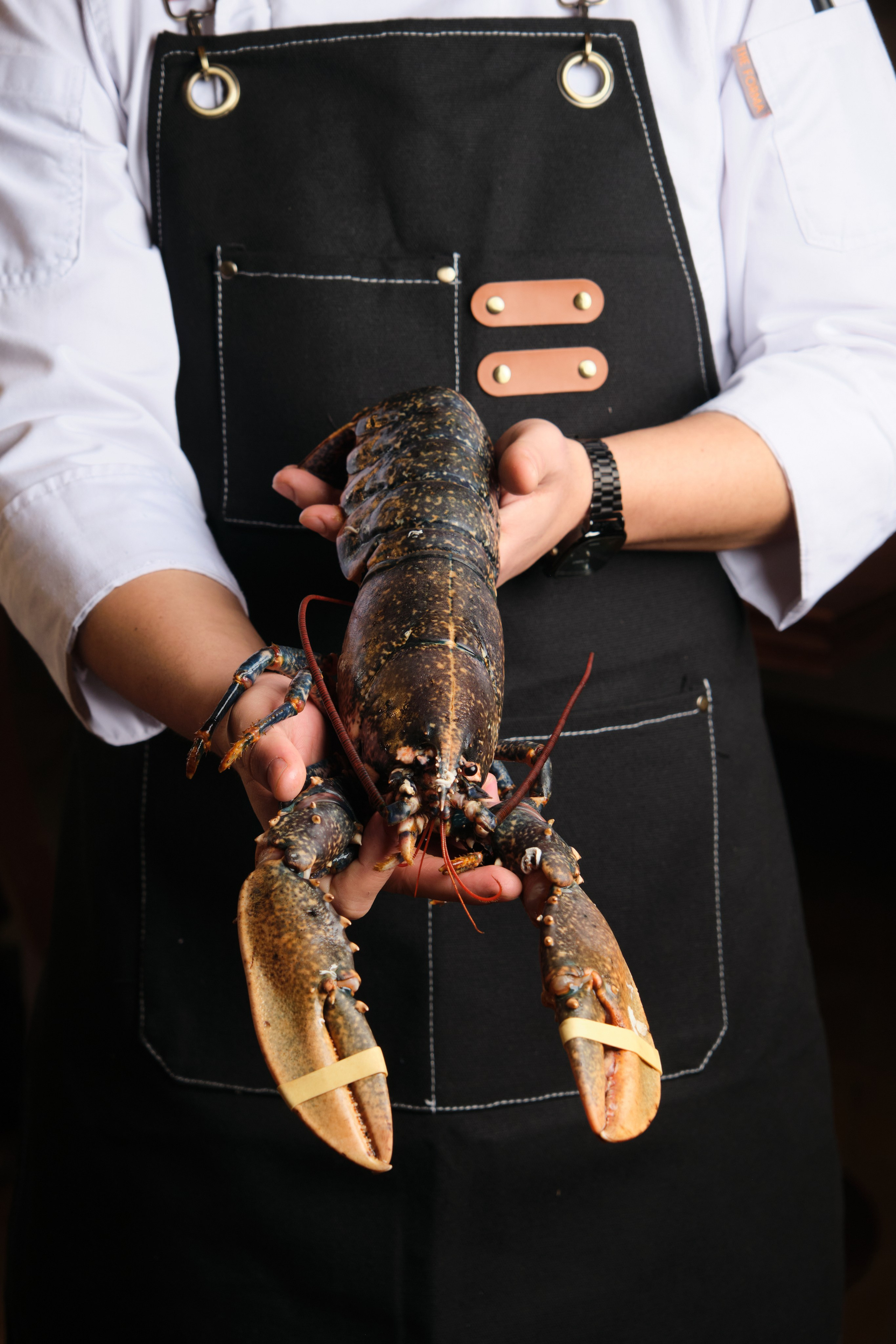 Ресторан Cantinetta Antinori Astana. Коммерческий фотограф Астана. Fashion съемка Food съемка, Reels