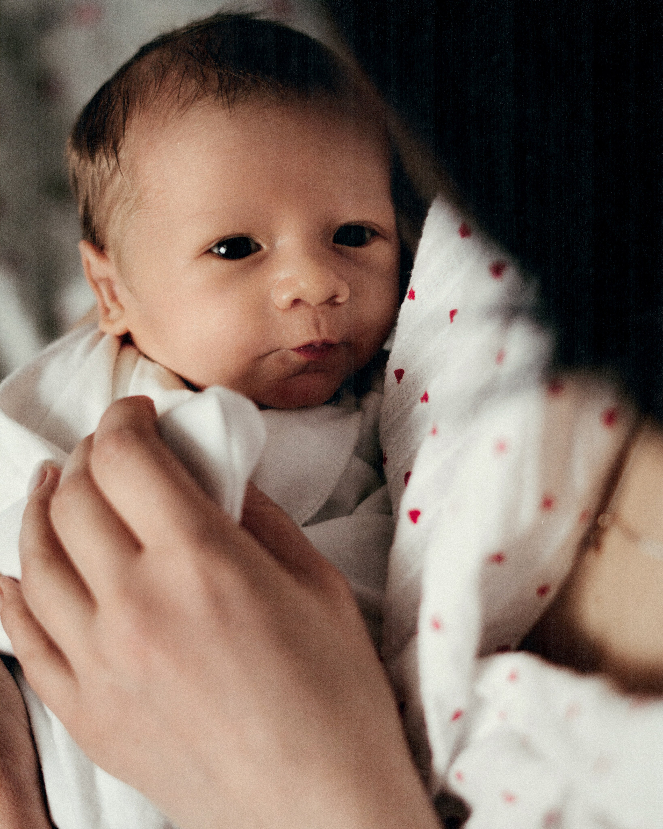 Gosha. SHILOVA PHOTO. Шилова Екатерина. Фотограф. Москва