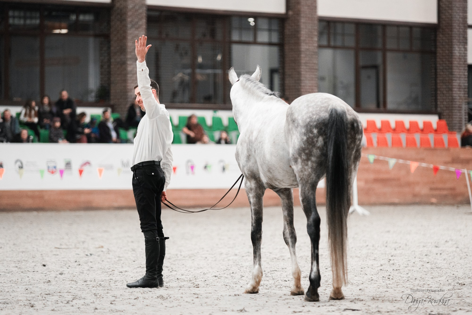 8-я международная выставка Конная Россия. Конный фотограф Куракина Дарья • Фотосессии с лошадьми