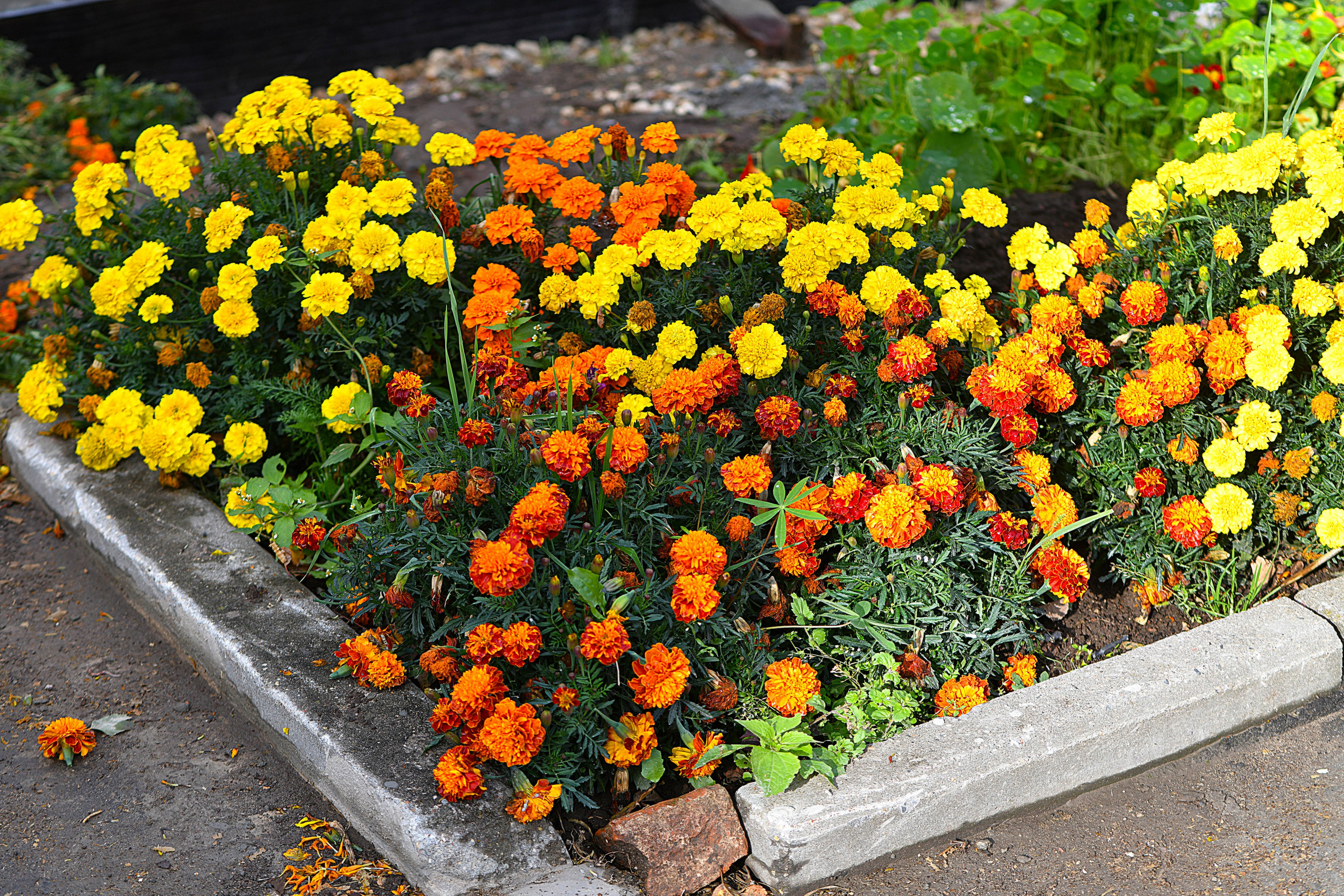 Крещение в Покровской церкви. Свадебный и портретный фотограф в Москве Галина Борисова