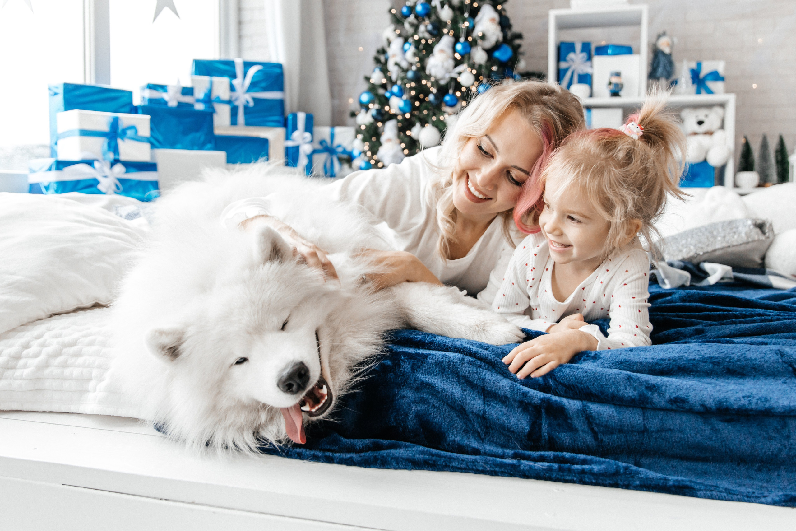 Фотостудия ‌Glory. Самоед Новосибирск