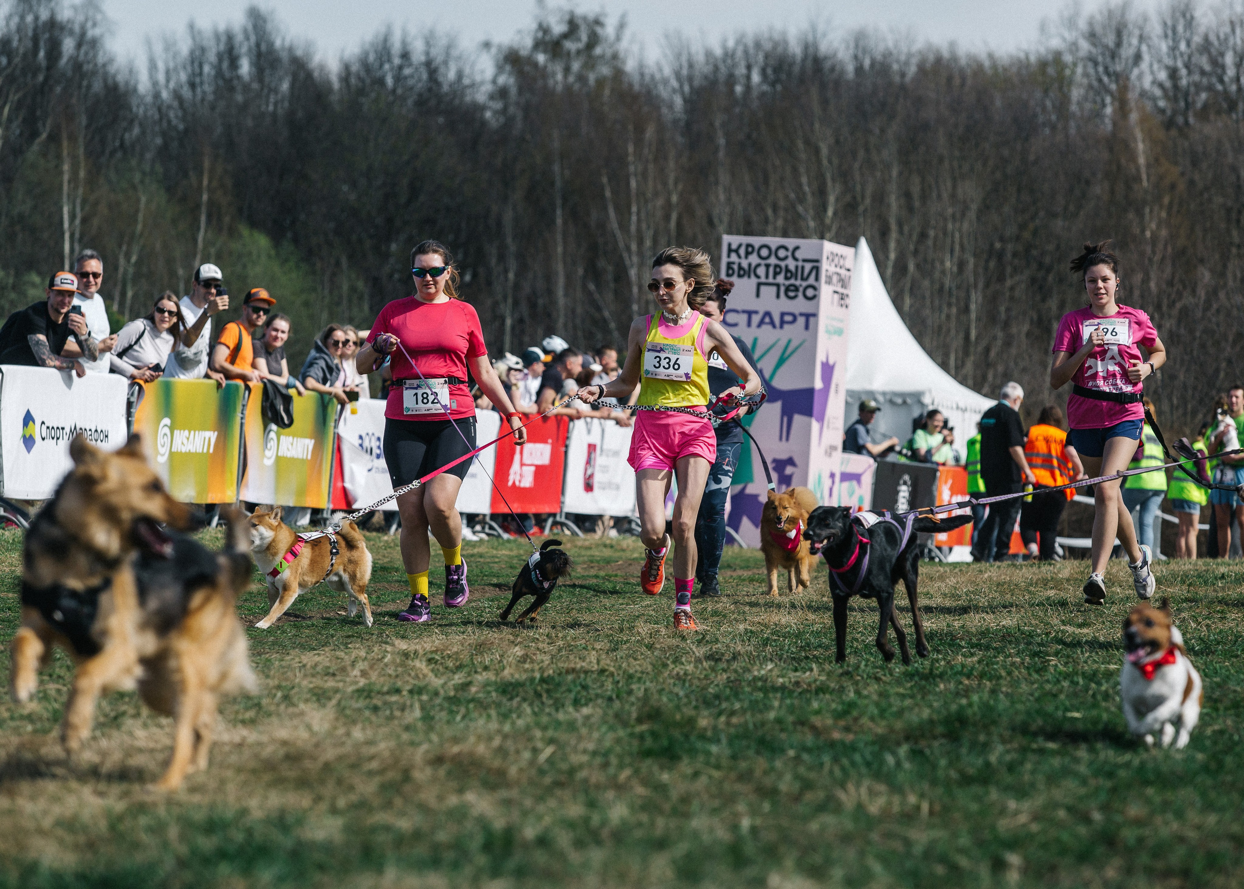 Кросс «Быстрый пёс» 2025. Репортажный фотограф в Москве