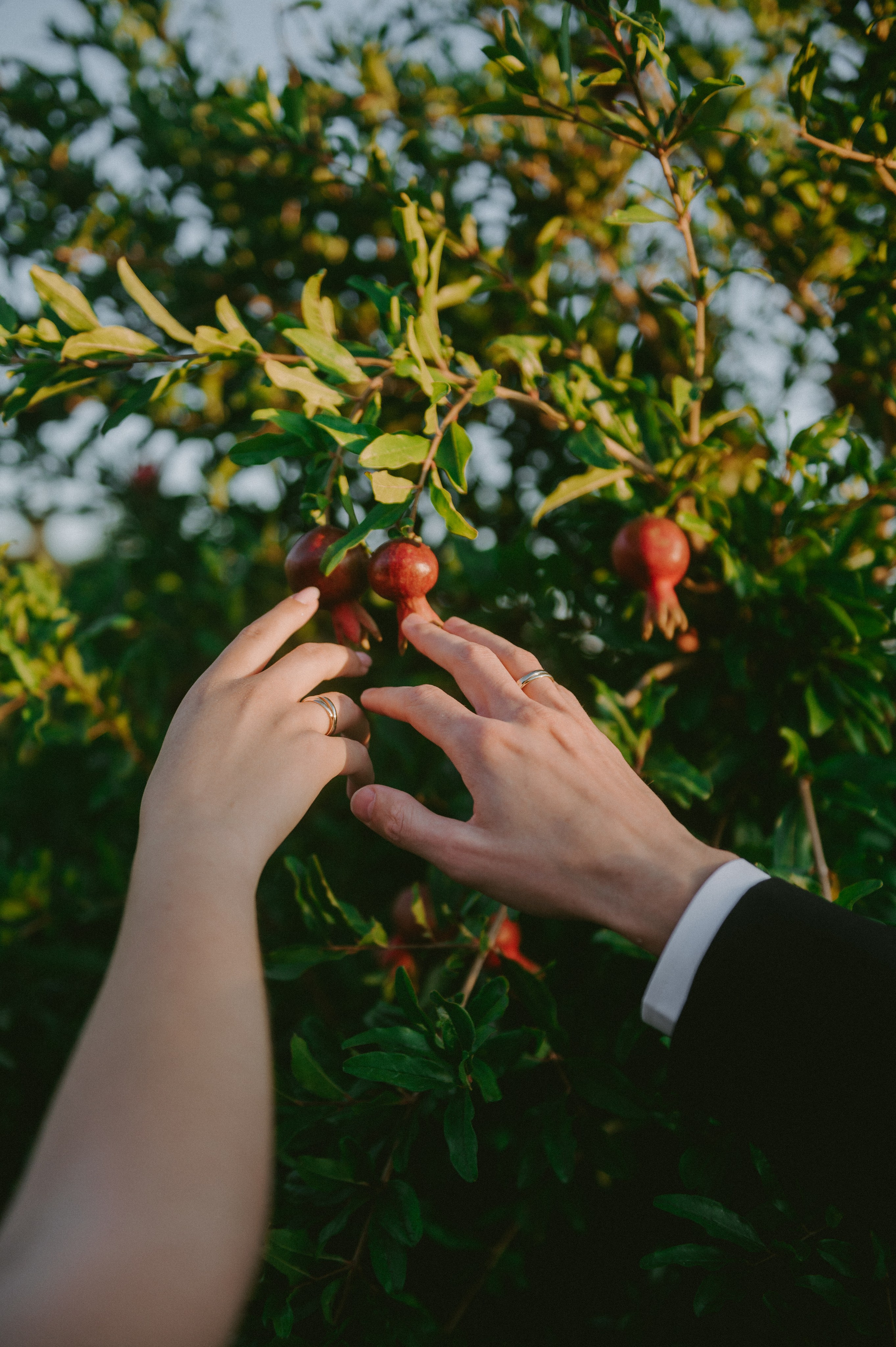 Дарья&Родион. Свадебный и семейный фотограф город Темрюк Фотостудия Темрюк