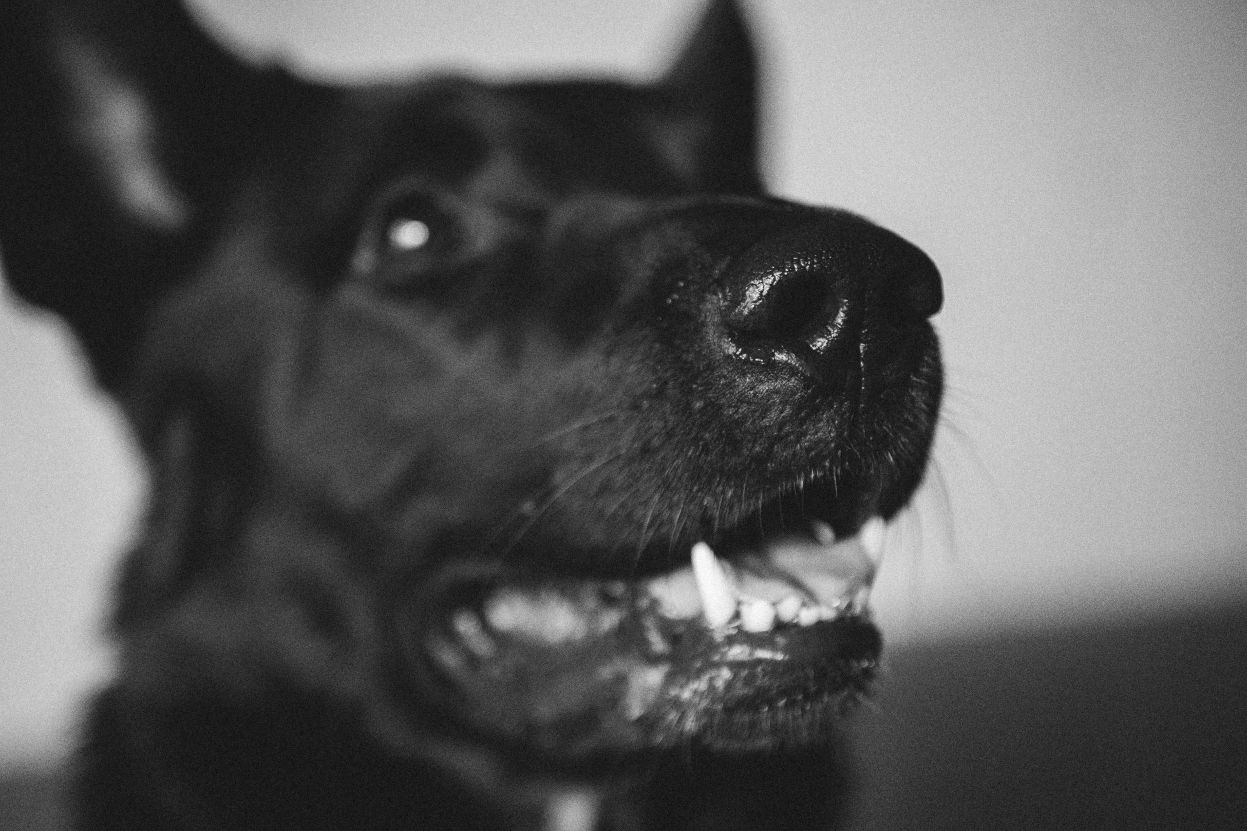 Ира и Морфей. Фотограф Анна Луценко Москва