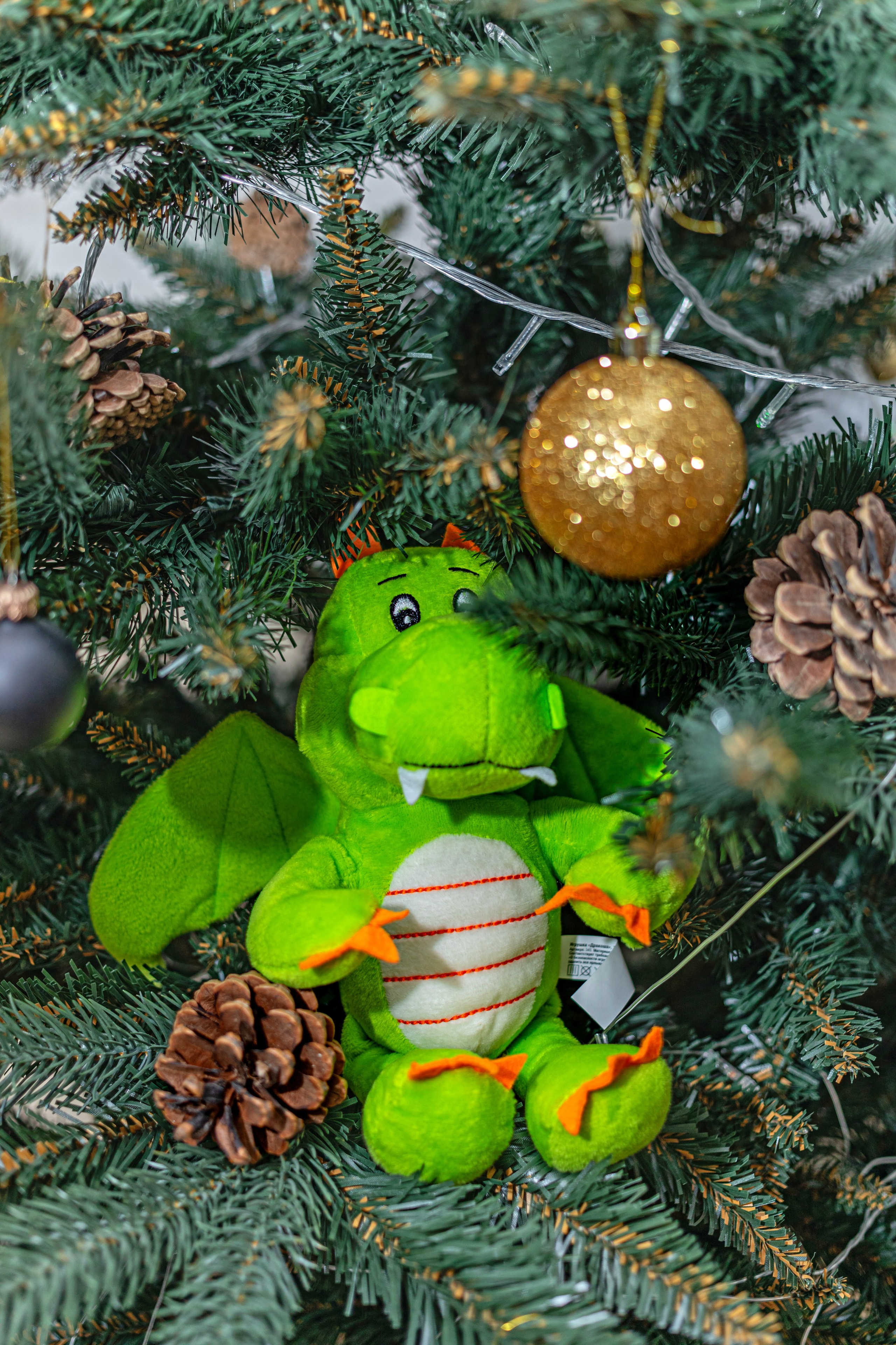 Relax. Фотограф Алина Гашникова