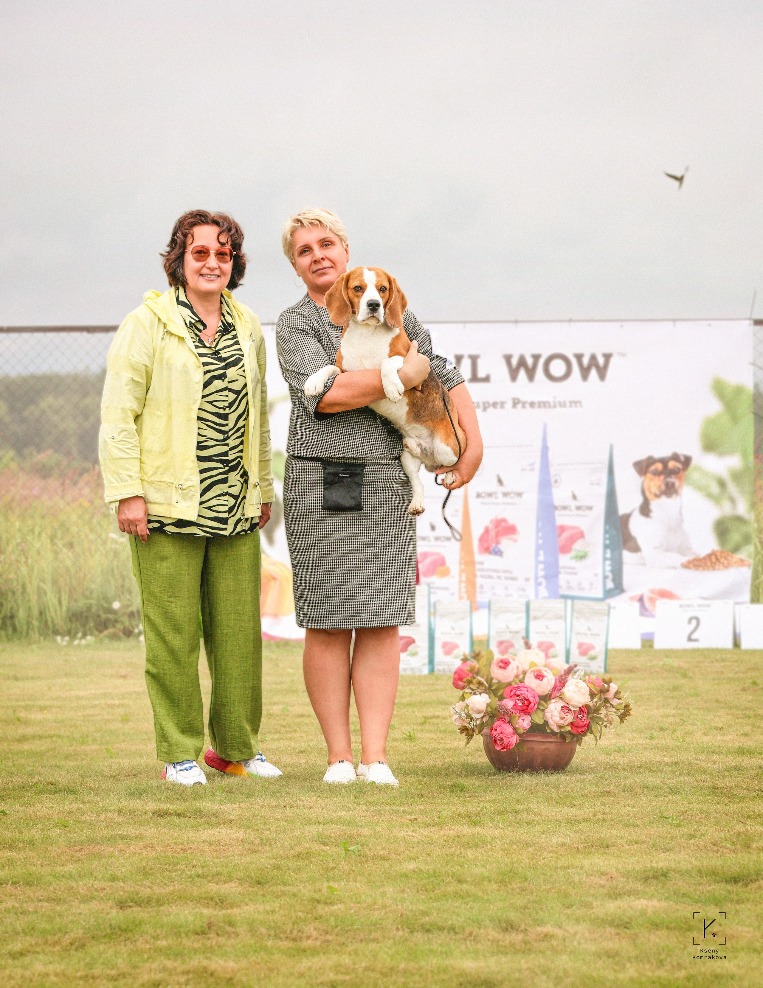 Съемка собак. Анималистика. Репортаж. Индивидуальная съемка