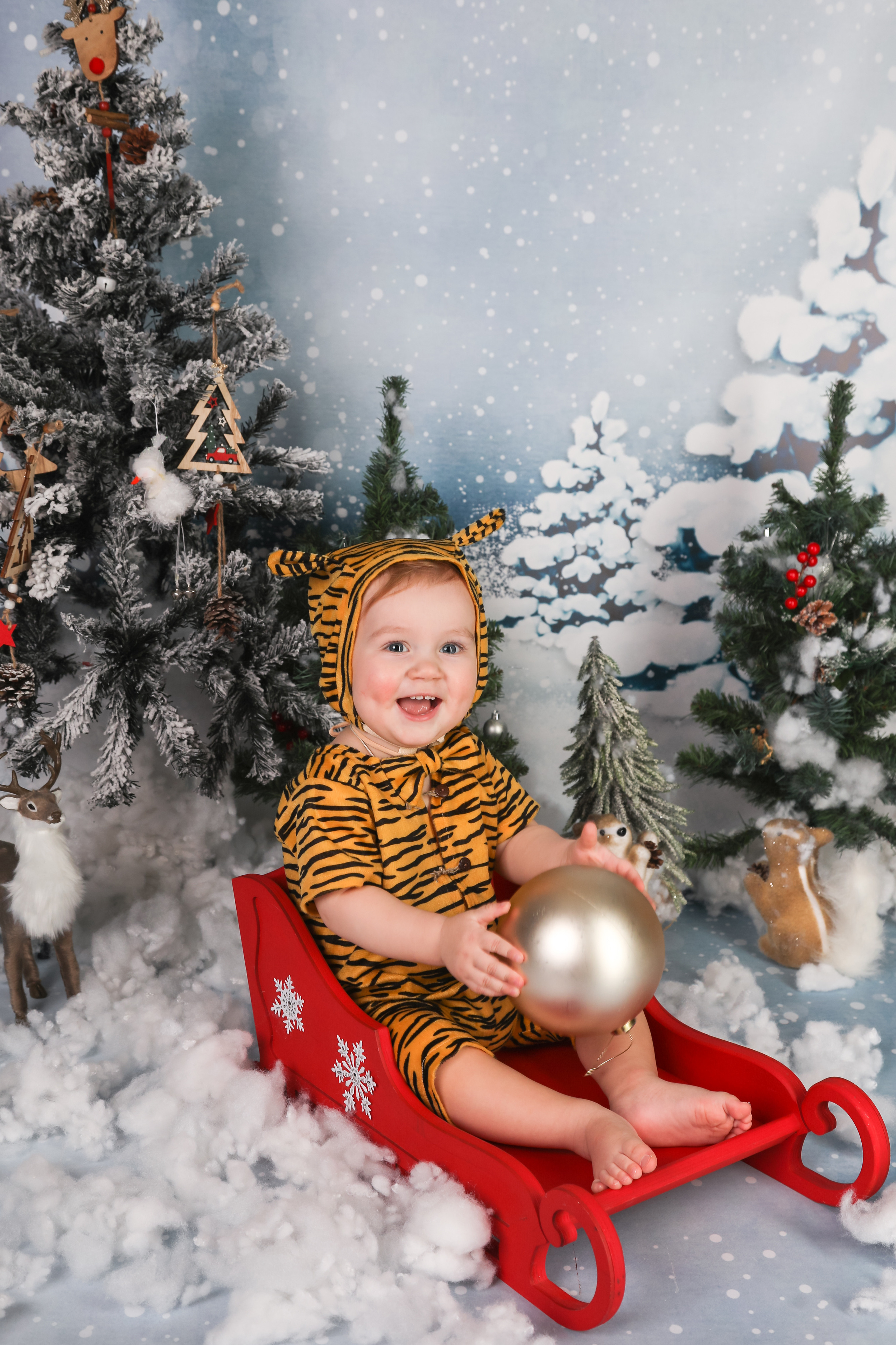 Новый год 2026. ФОТОГРАФ НА ГОДИК, БЕРЕМЕННОСТИ, НОВОРОЖДЕННЫХ, КРЕЩЕНИЯ МОСКВА