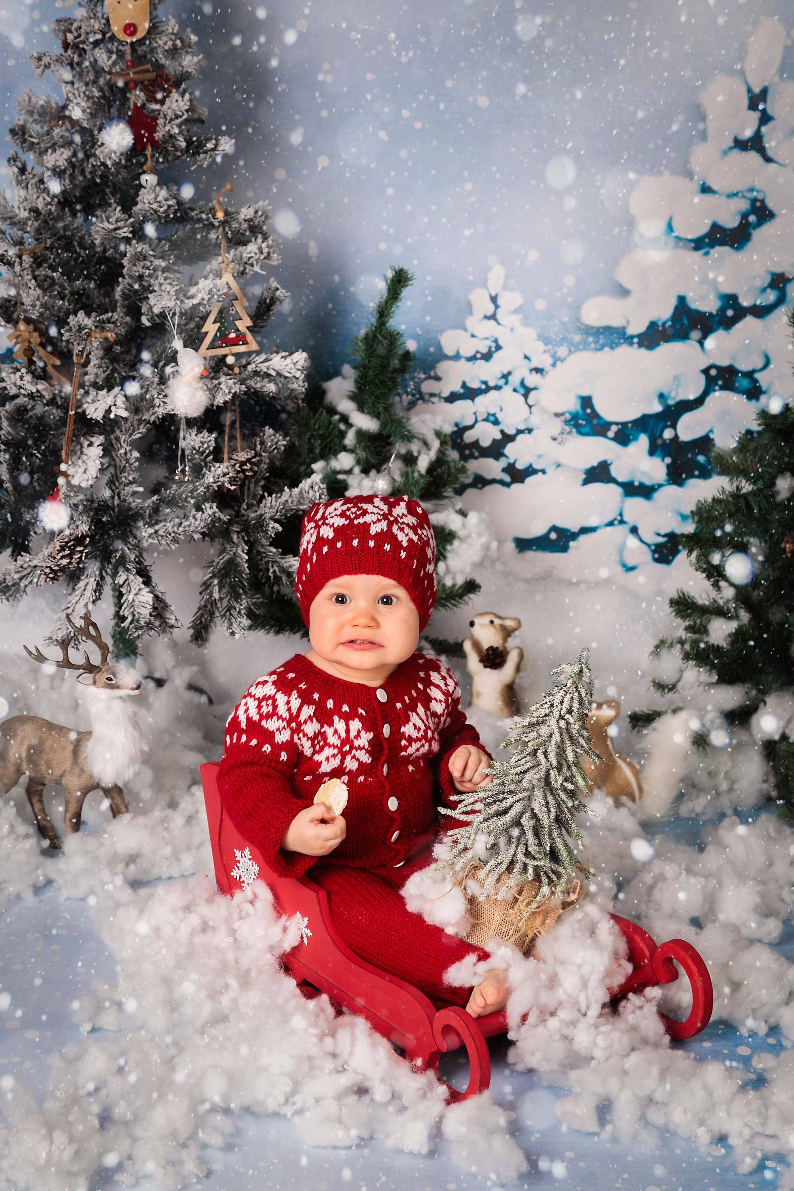 Новый год 2026. ФОТОГРАФ НА ГОДИК, БЕРЕМЕННОСТИ, НОВОРОЖДЕННЫХ, КРЕЩЕНИЯ МОСКВА