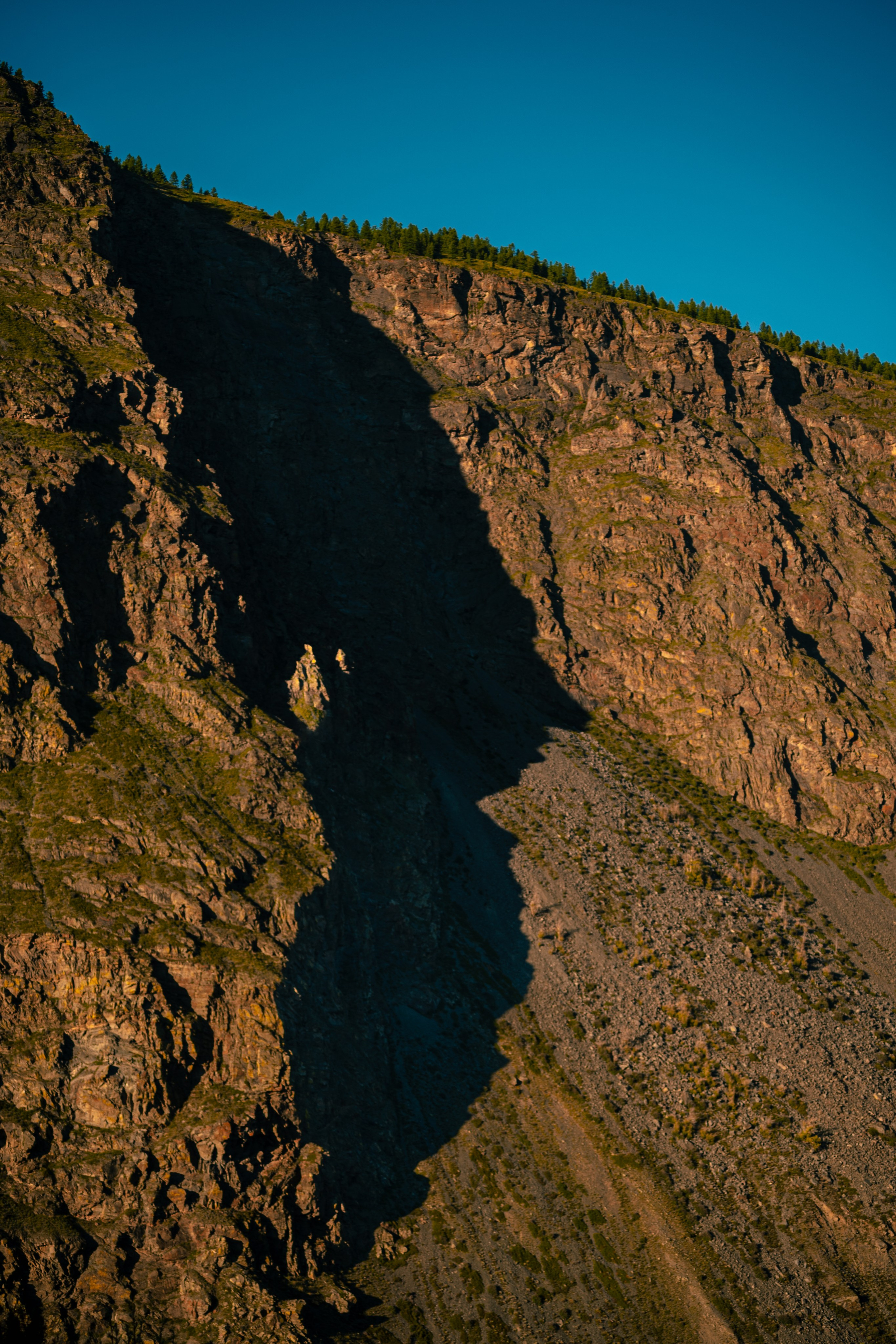 Алтай. Оператор и Фотограф в Санкт-Петербурге и Москве