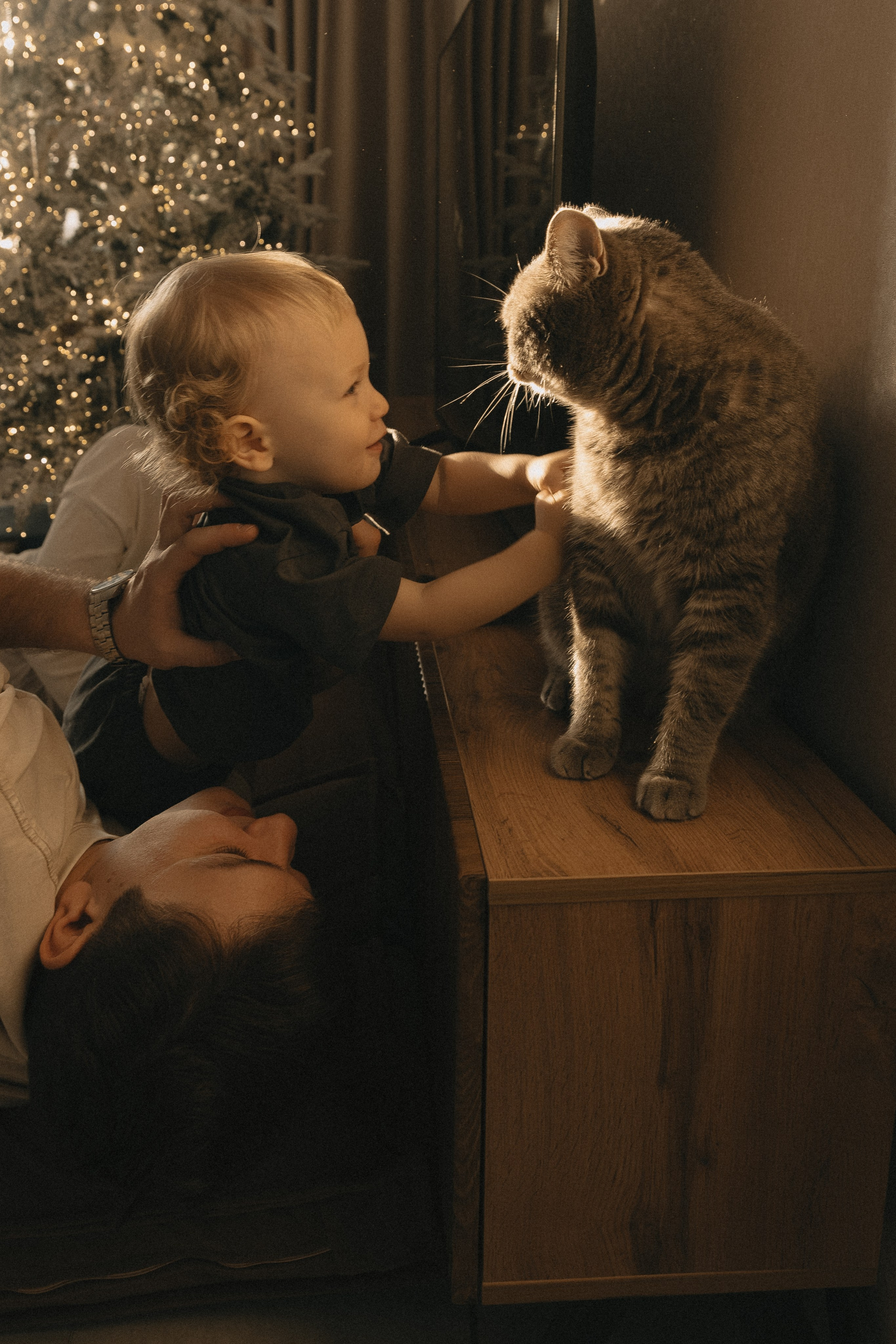 Майонезная семья. Свадебный и семейный фотограф в Красноярске Абраменко Настя